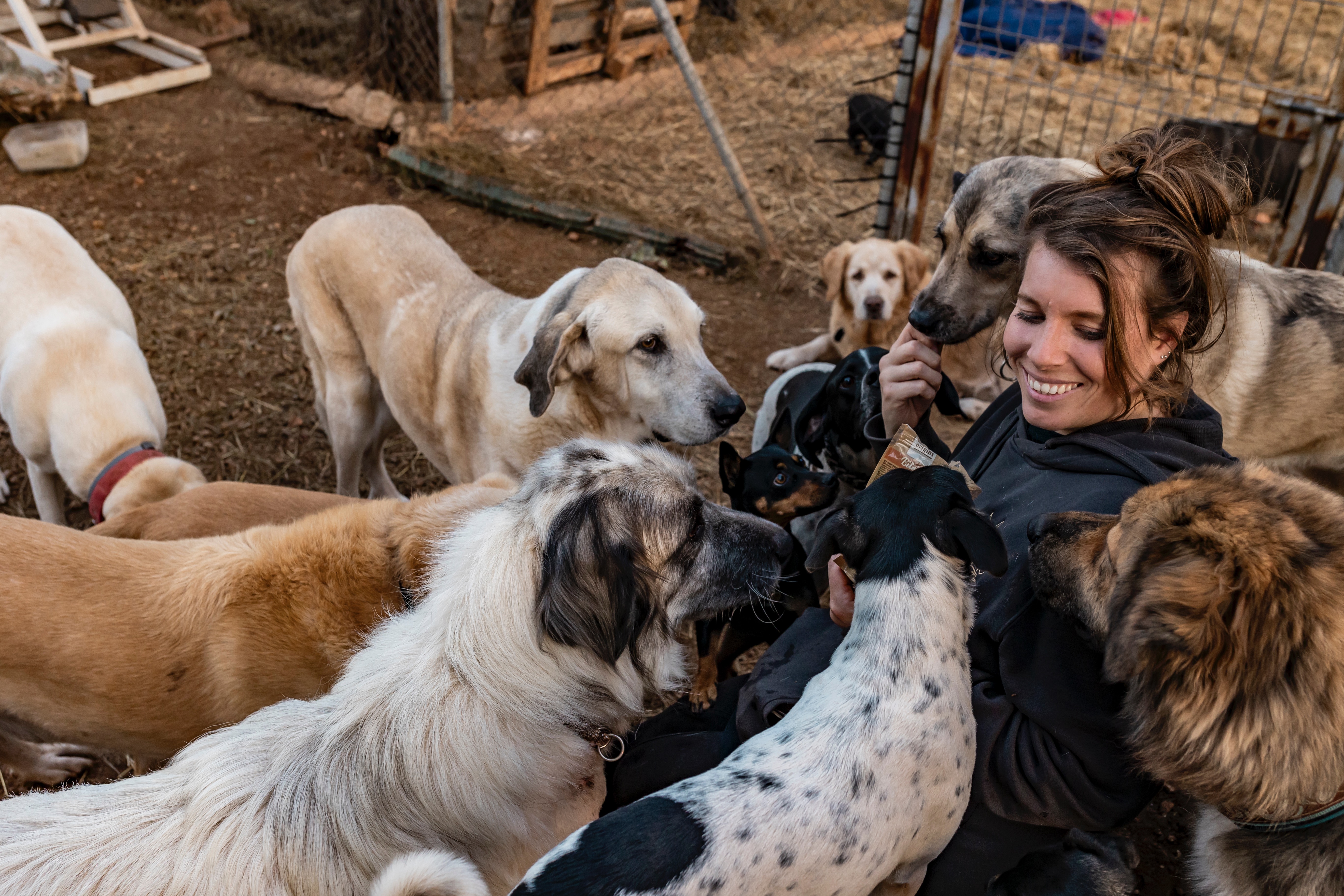 Keep the rescue alive - Don't let the sanctuary go silent. campaign photo, 7 of 8