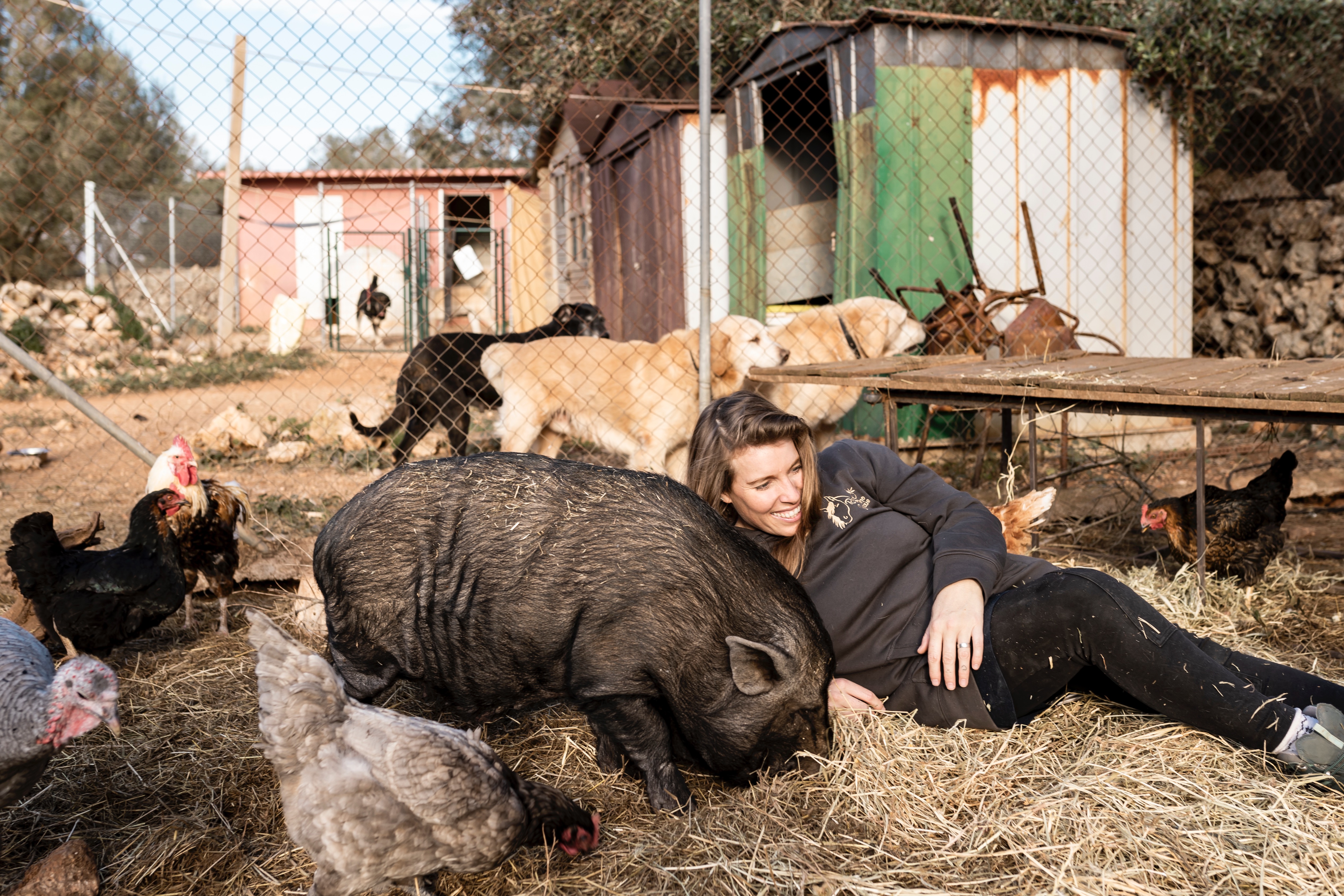 Keep the rescue alive - Don't let the sanctuary go silent. campaign photo, 2 of 8