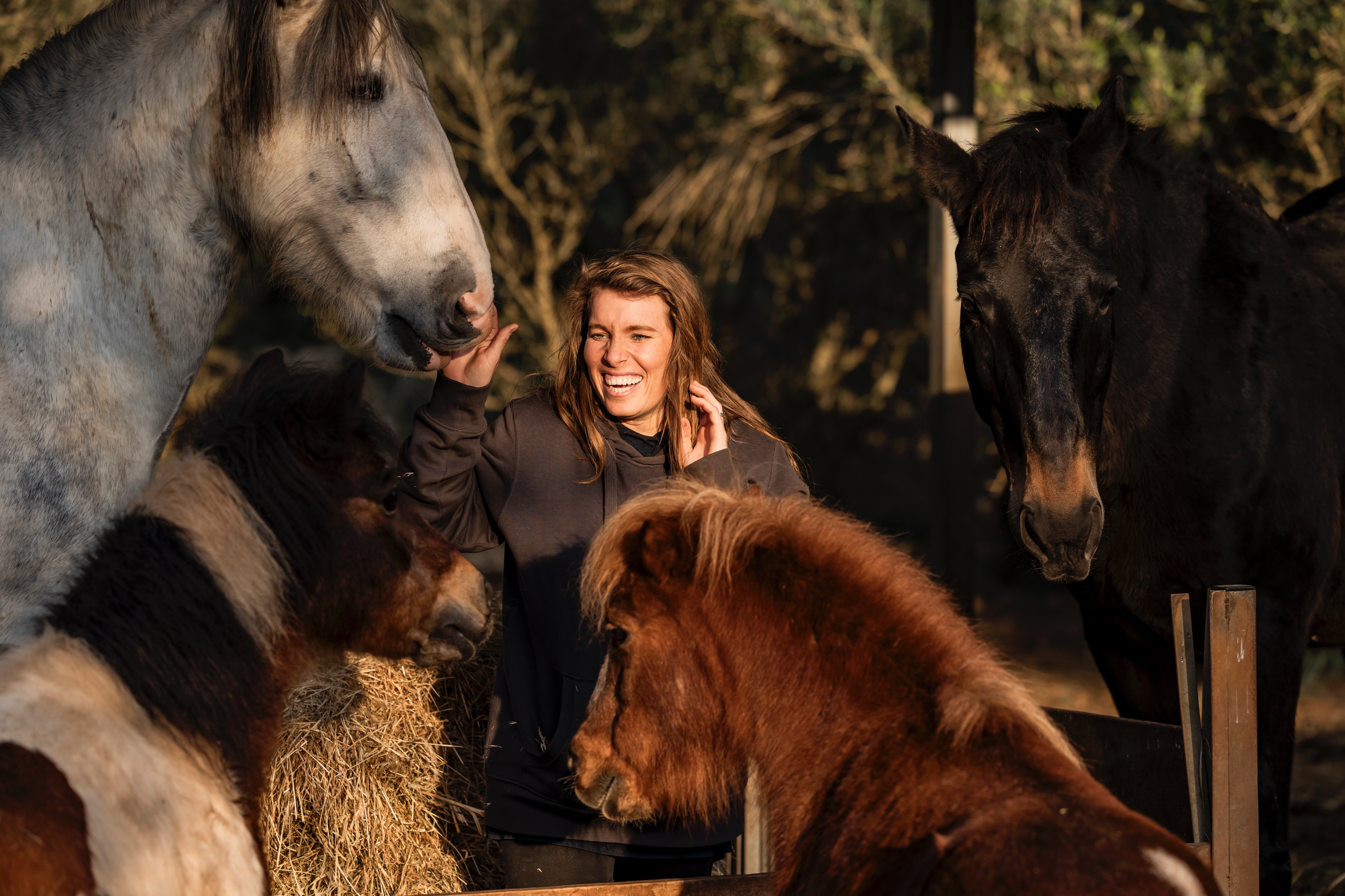 Keep the rescue alive - Don't let the sanctuary go silent. campaign photo, 4 of 8