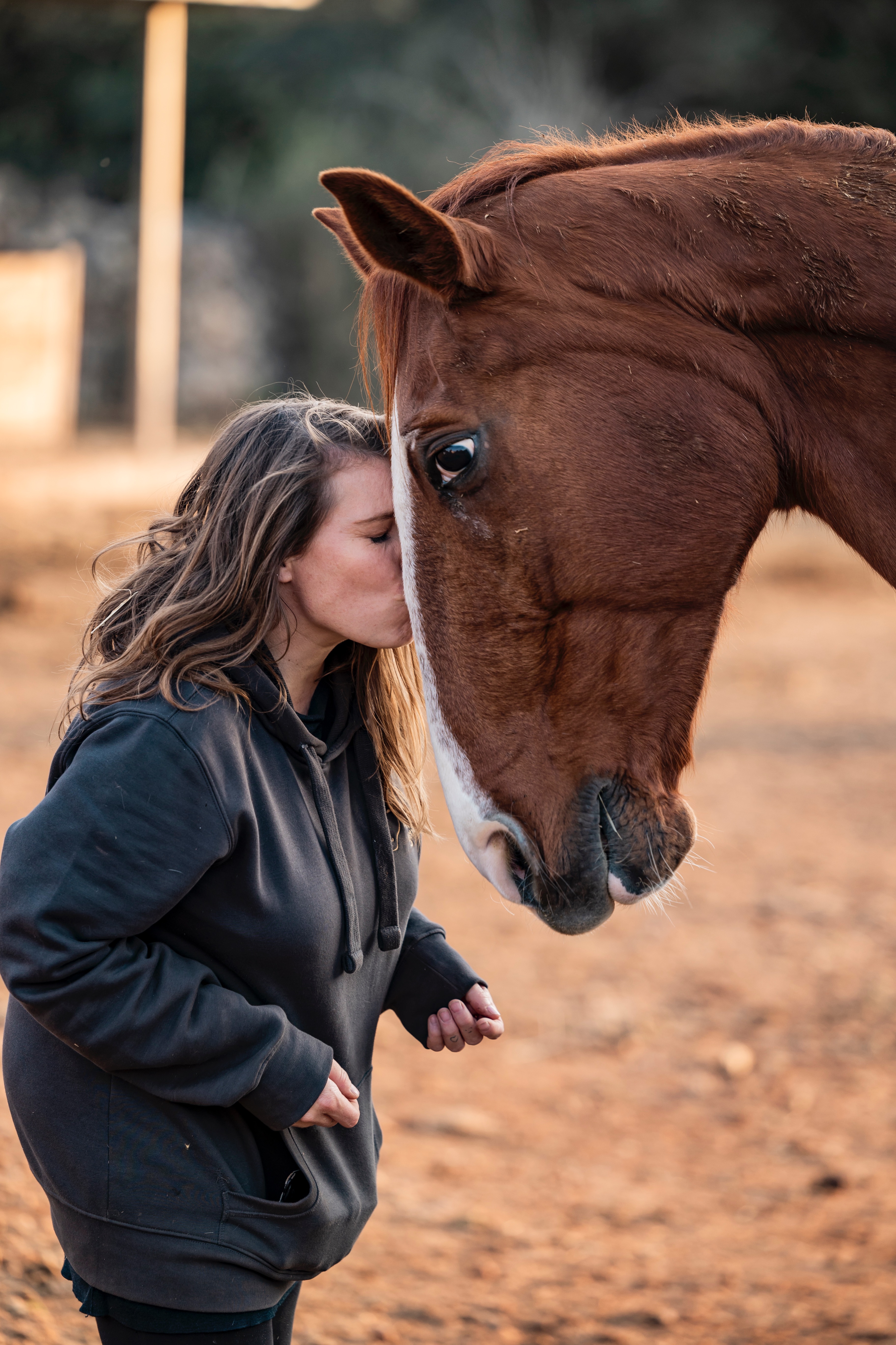 Keep the rescue alive - Don't let the sanctuary go silent. campaign photo, 5 of 8