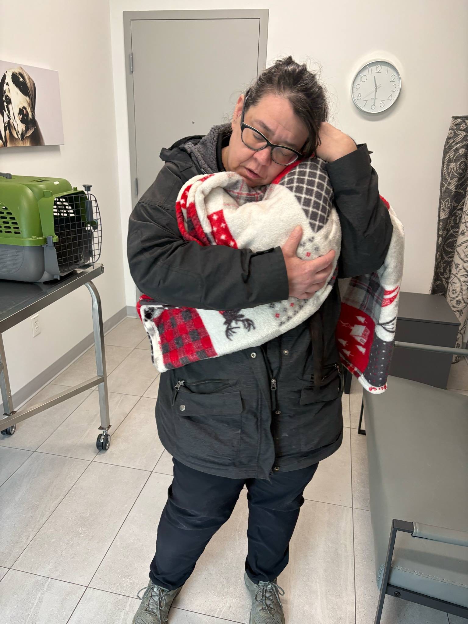 Urgence : Aidez Chantal à sauver son refuge pour chats campaign photo, 5 of 8