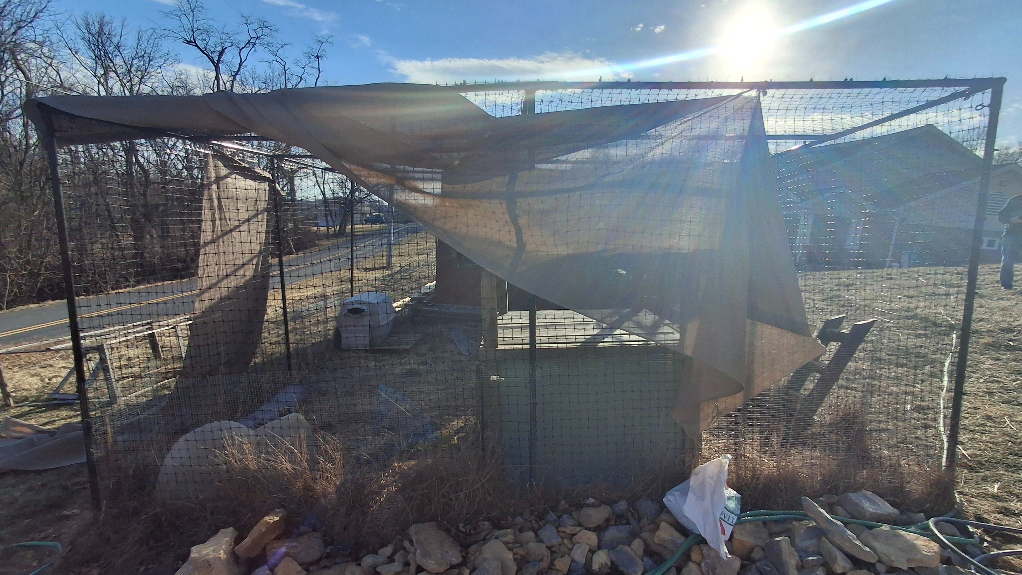Support Adam Phelps' Eagle Scout Project campaign photo, 6 of 7