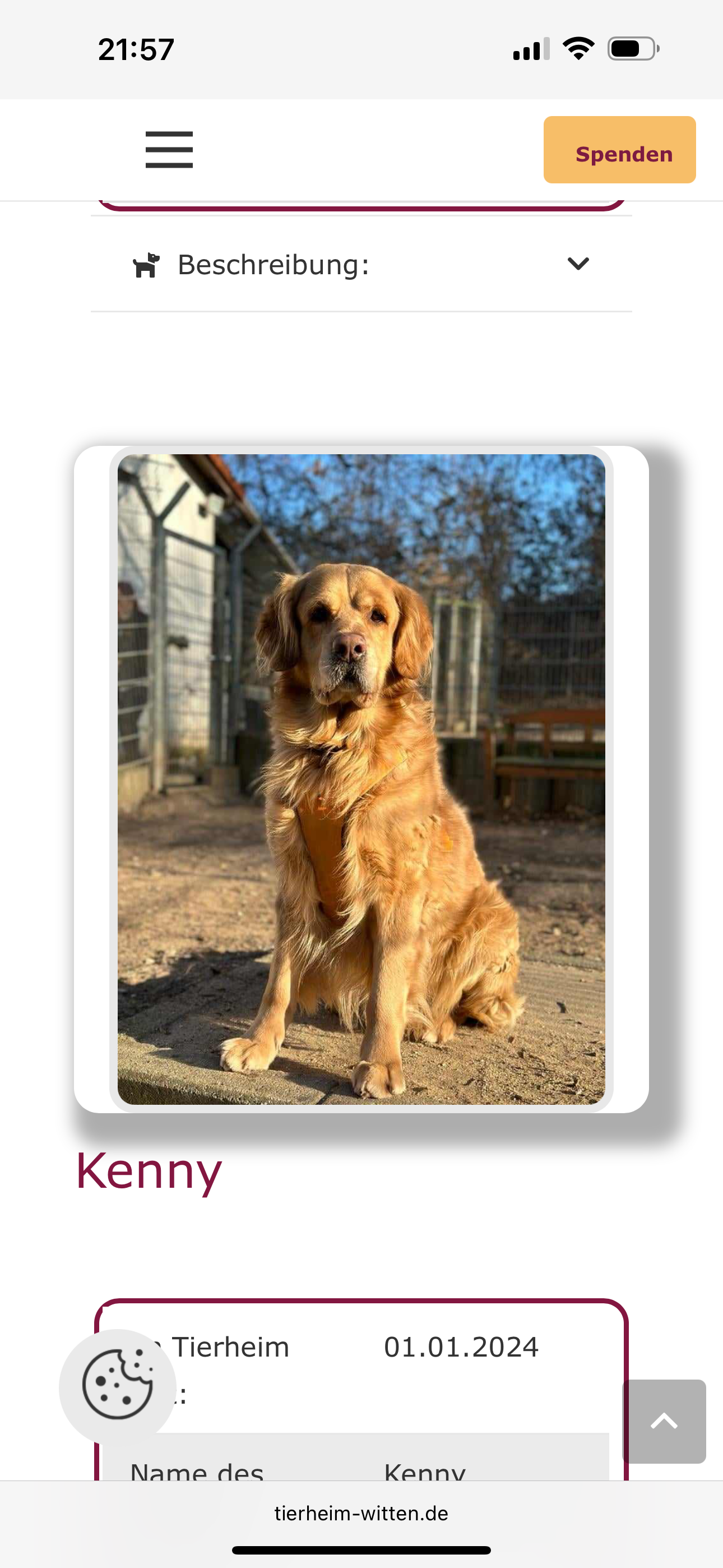 Spende für Kenny und seine Freunde aus dem Tierheim Witten! campaign photo, 2 of 4