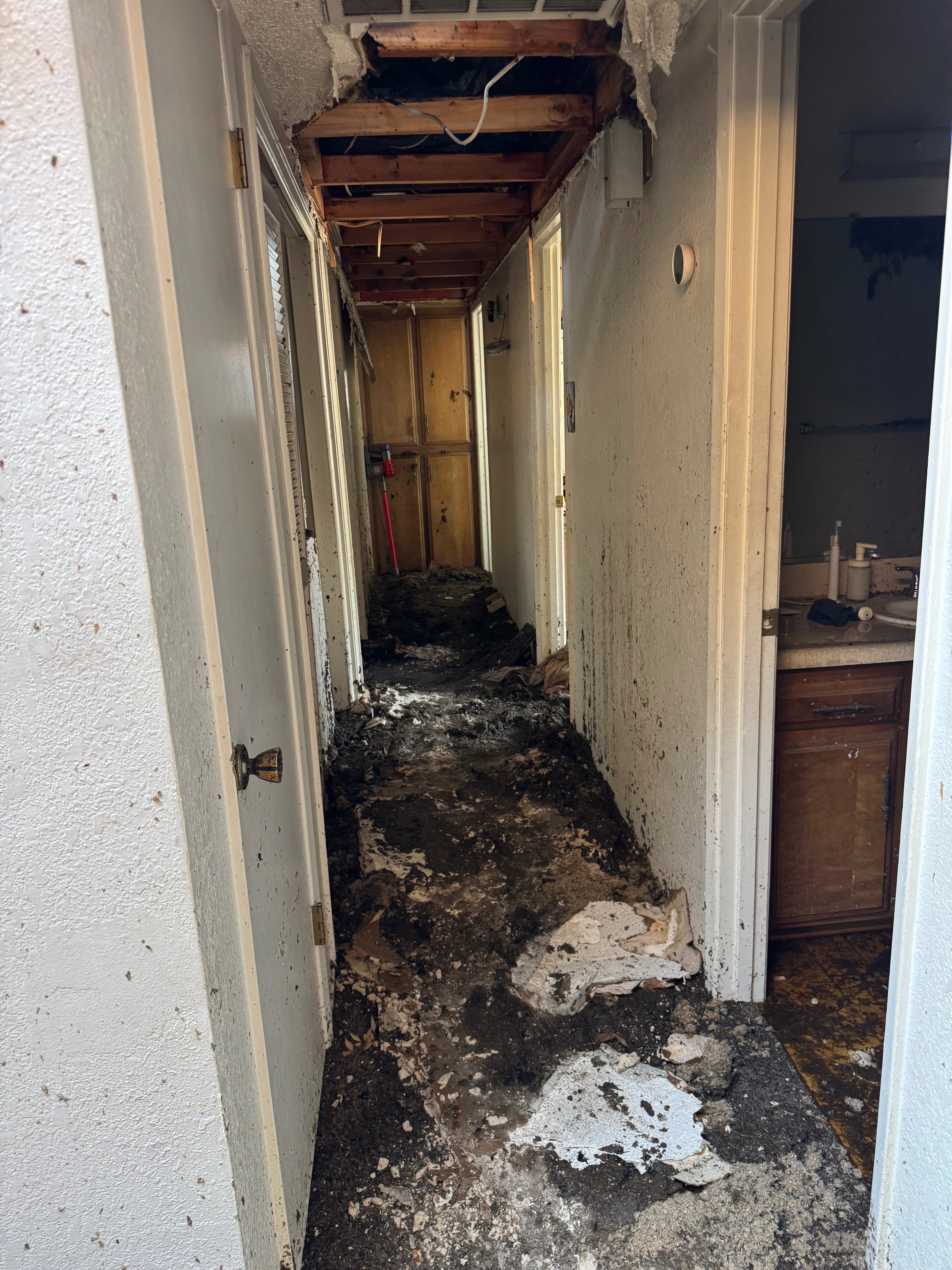 Support Ariella Ortiz's Family After Fire campaign photo, 2 of 7