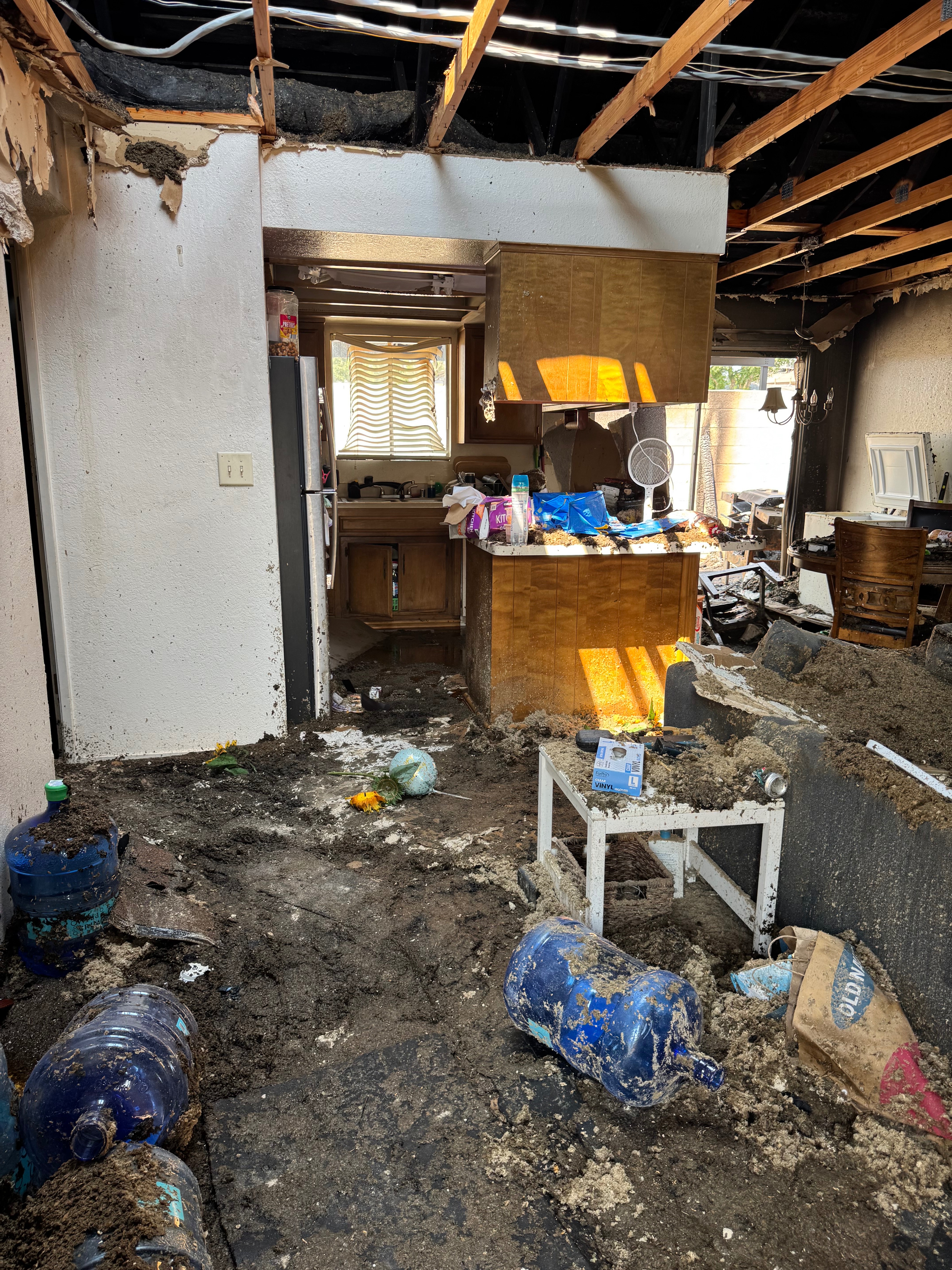 Support Ariella Ortiz's Family After Fire campaign photo, 5 of 7