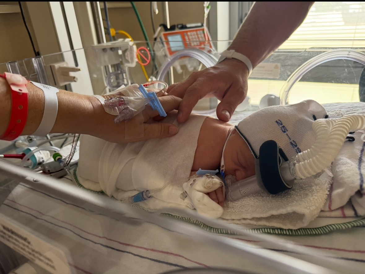 User-uploaded image 1