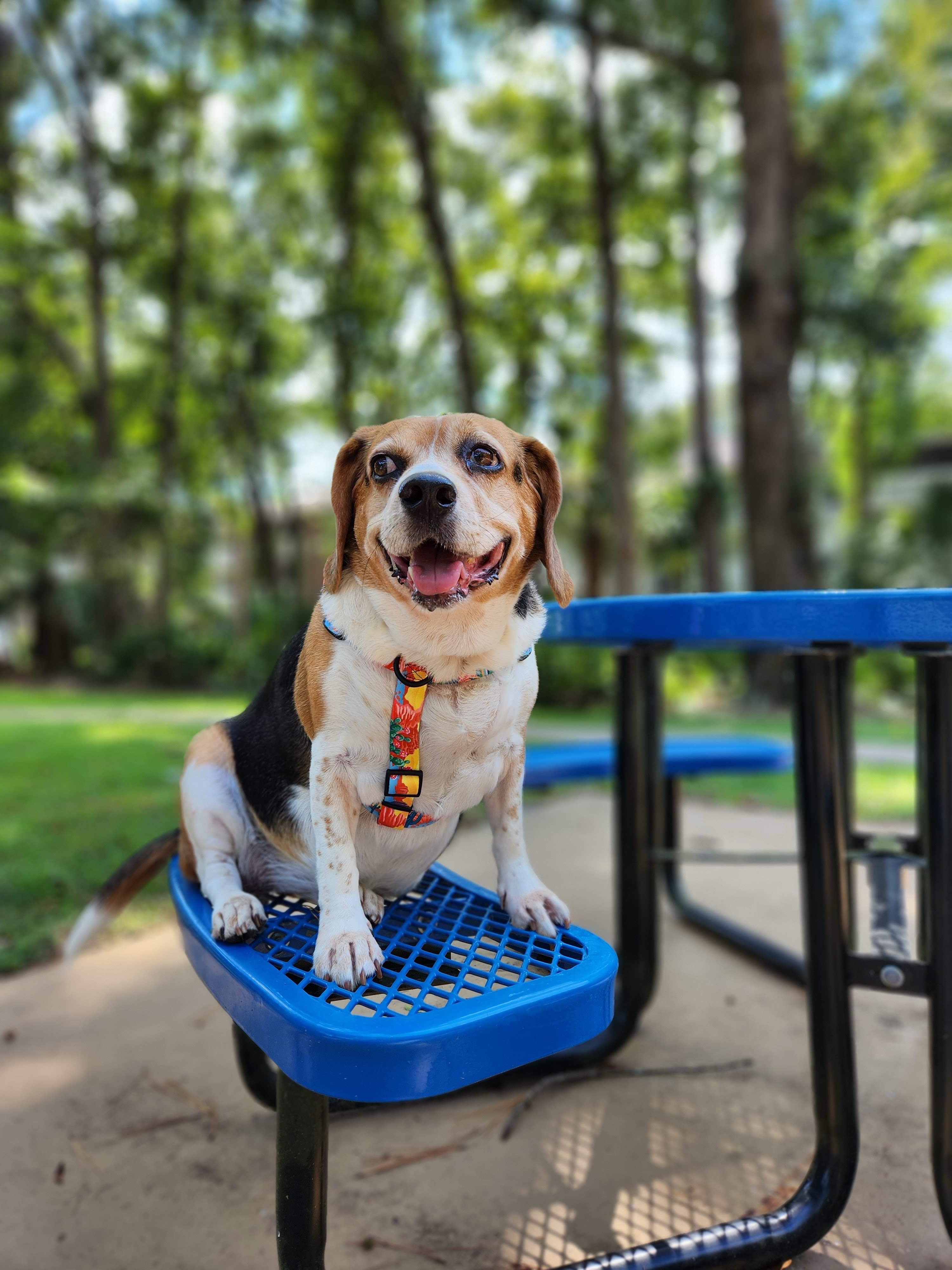 User-uploaded image 1