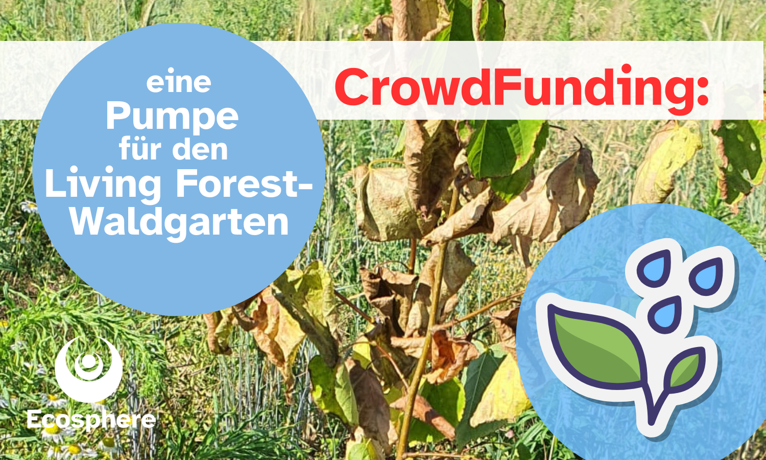 Wasser für den Waldgarten "Living Forest" campaign photo, 2 of 3