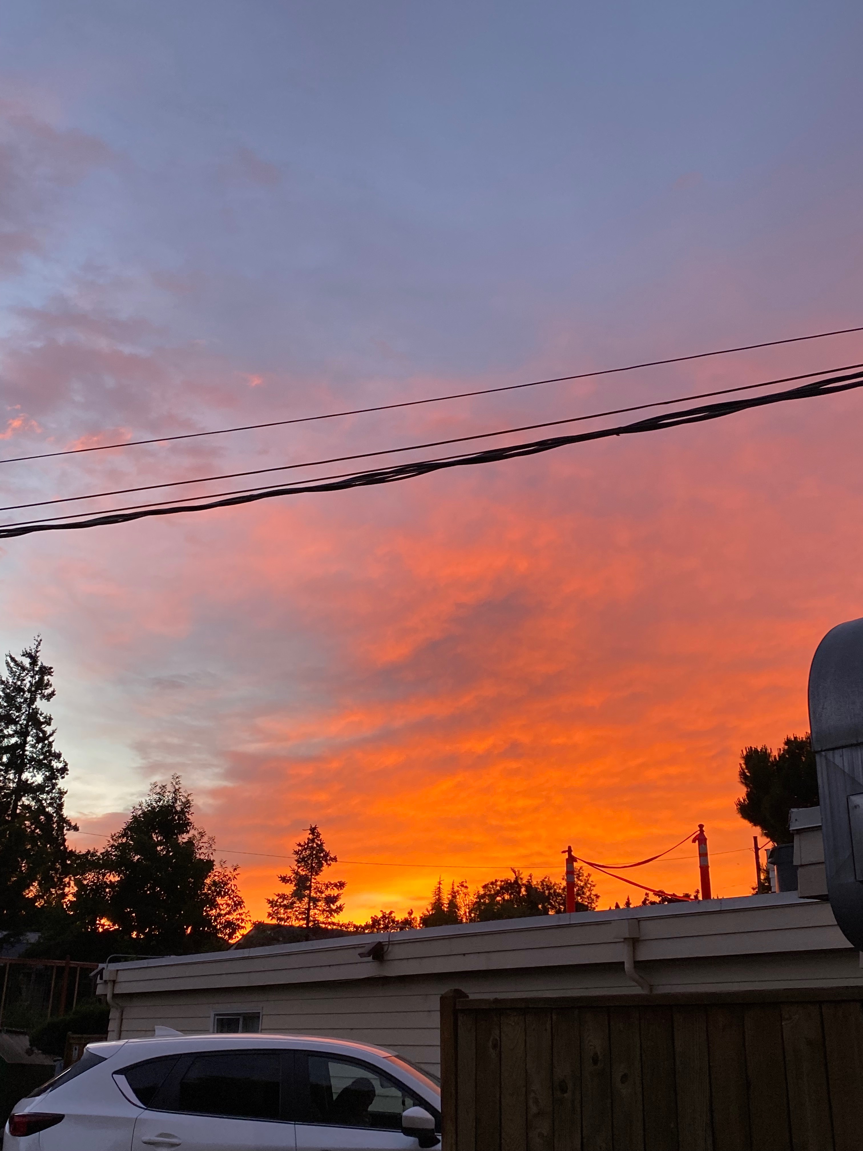 User-uploaded image 1