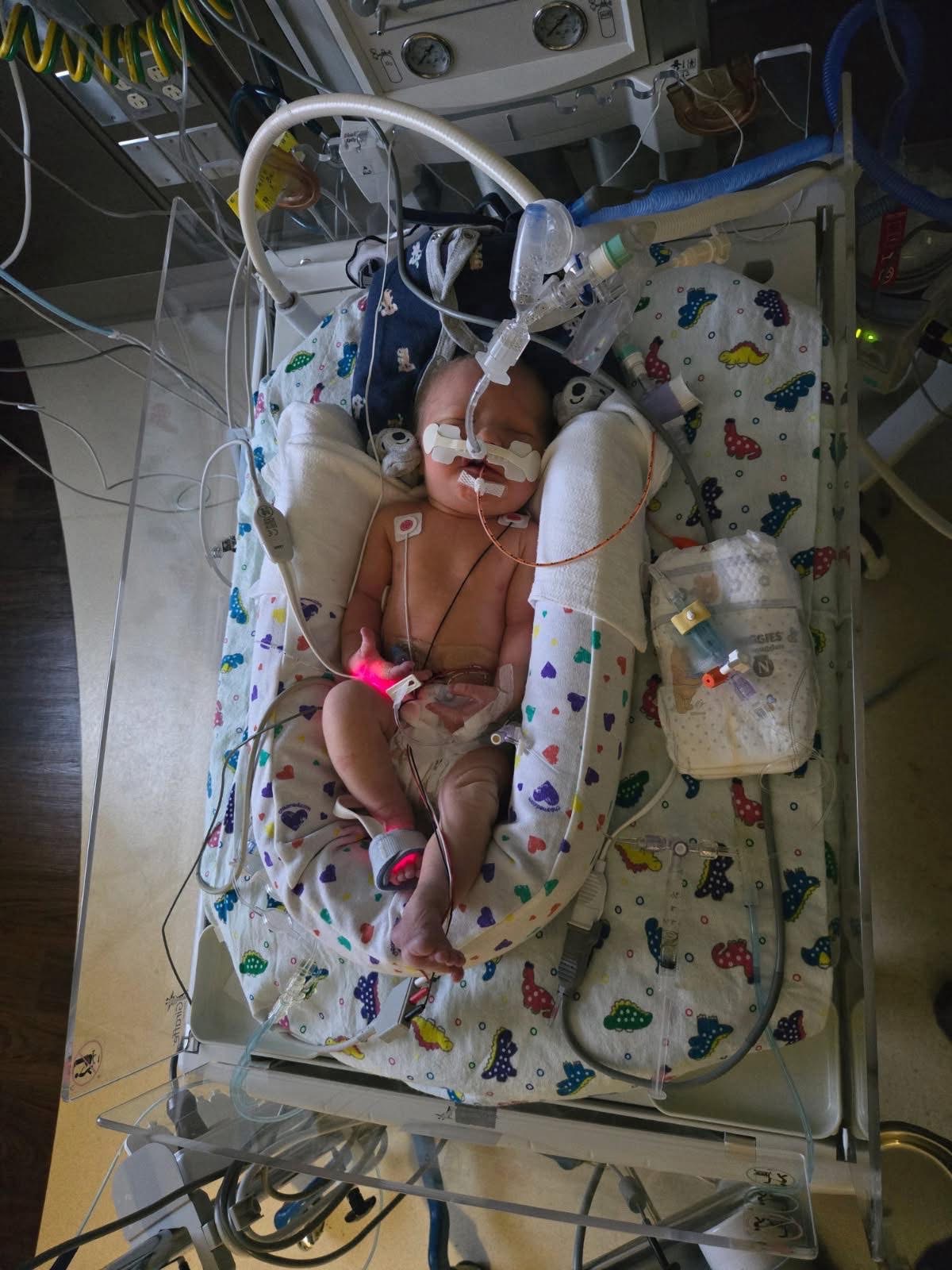 Support Shelby and Justin as they spend time in NICU. campaign photo, 2 of 5