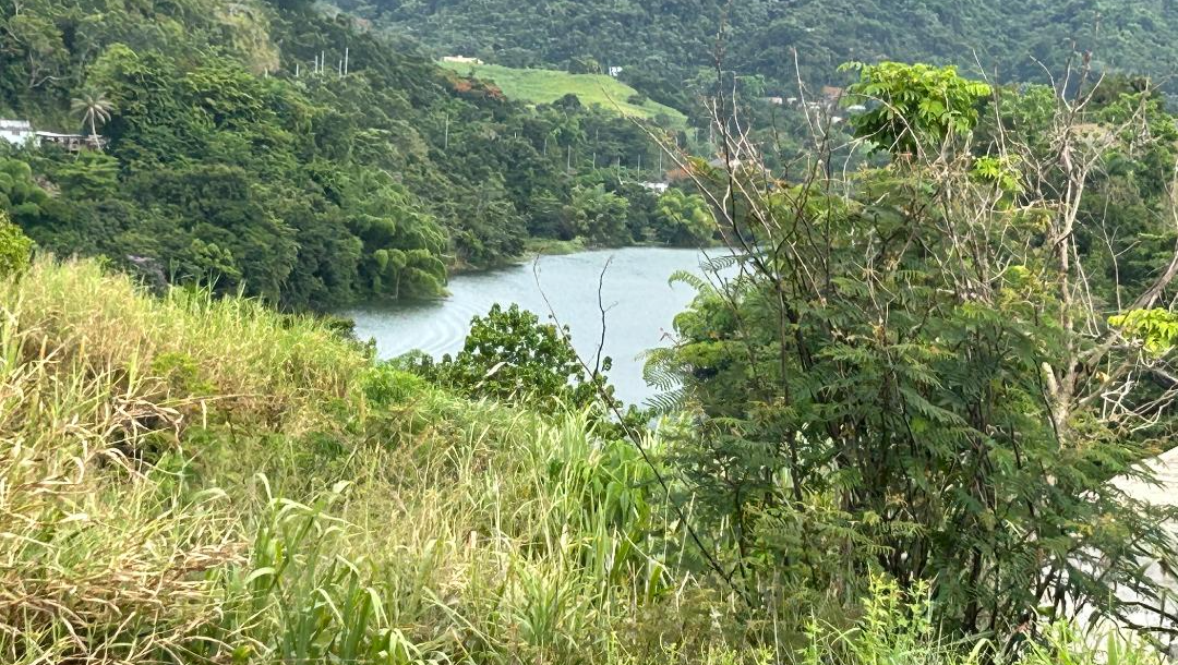Create A Drone Park in Puerto Rico photo