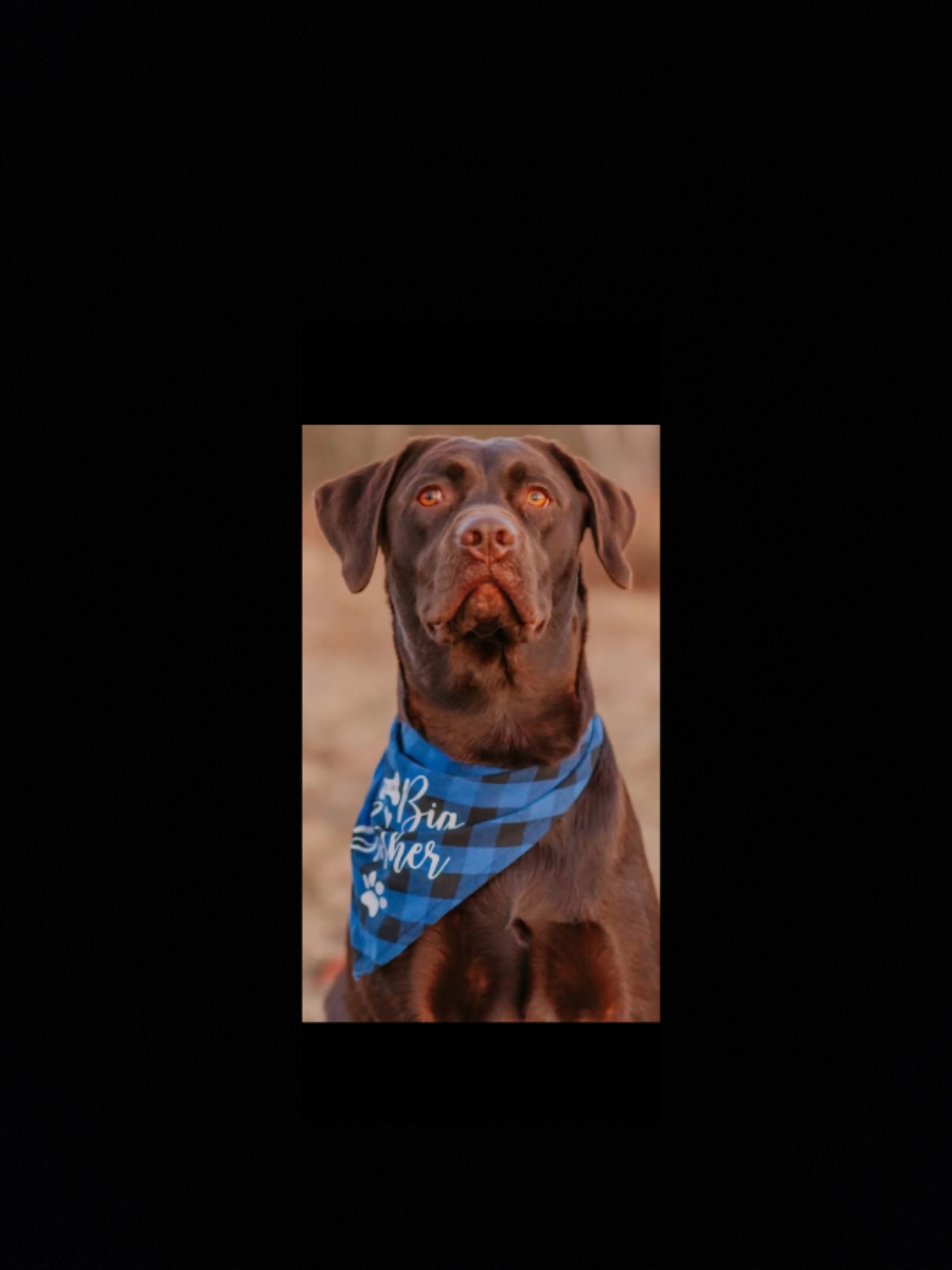 Easing the Burden: Support for Dexter's Family campaign photo, 2 of 4