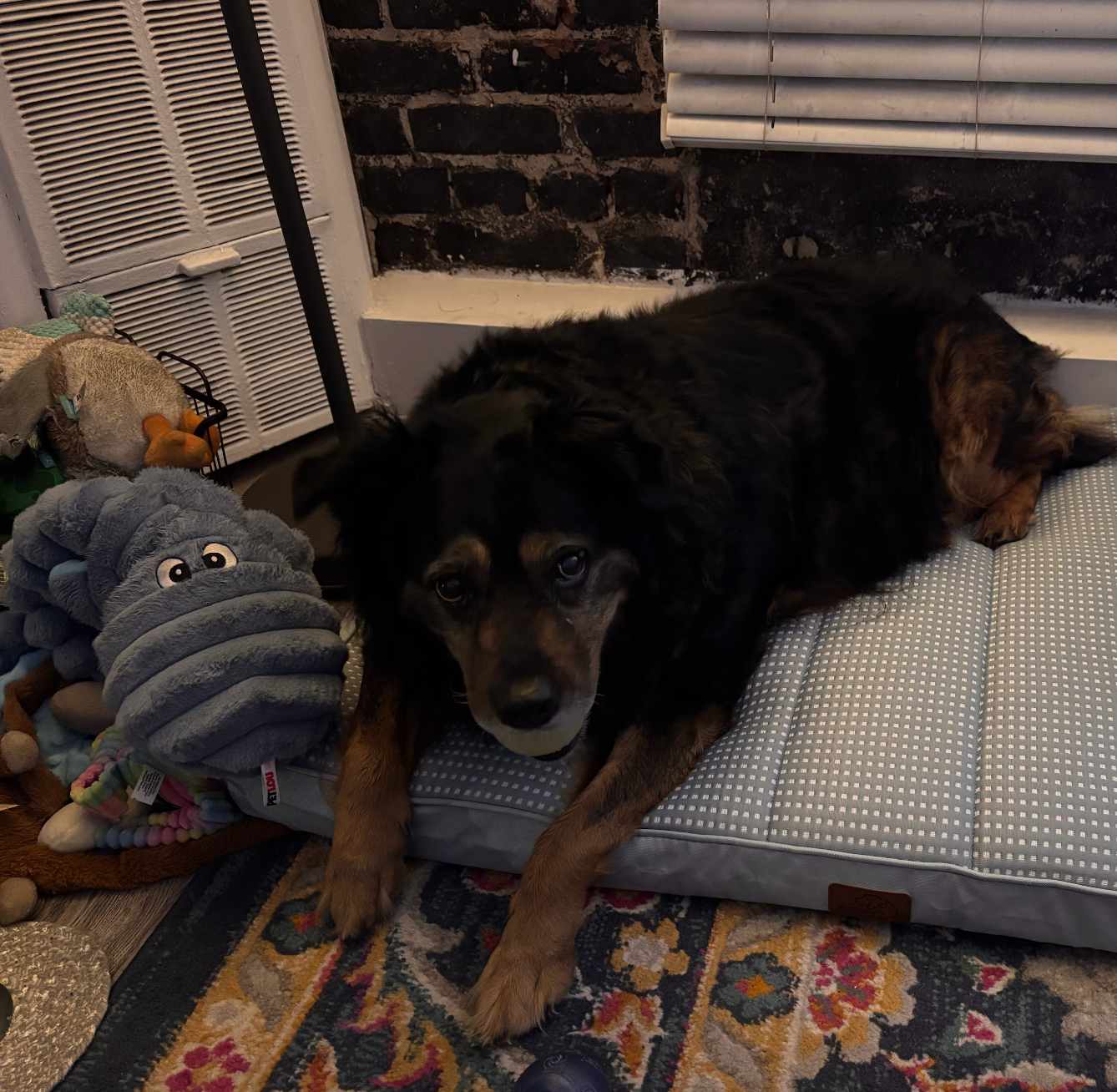 User-uploaded image 1