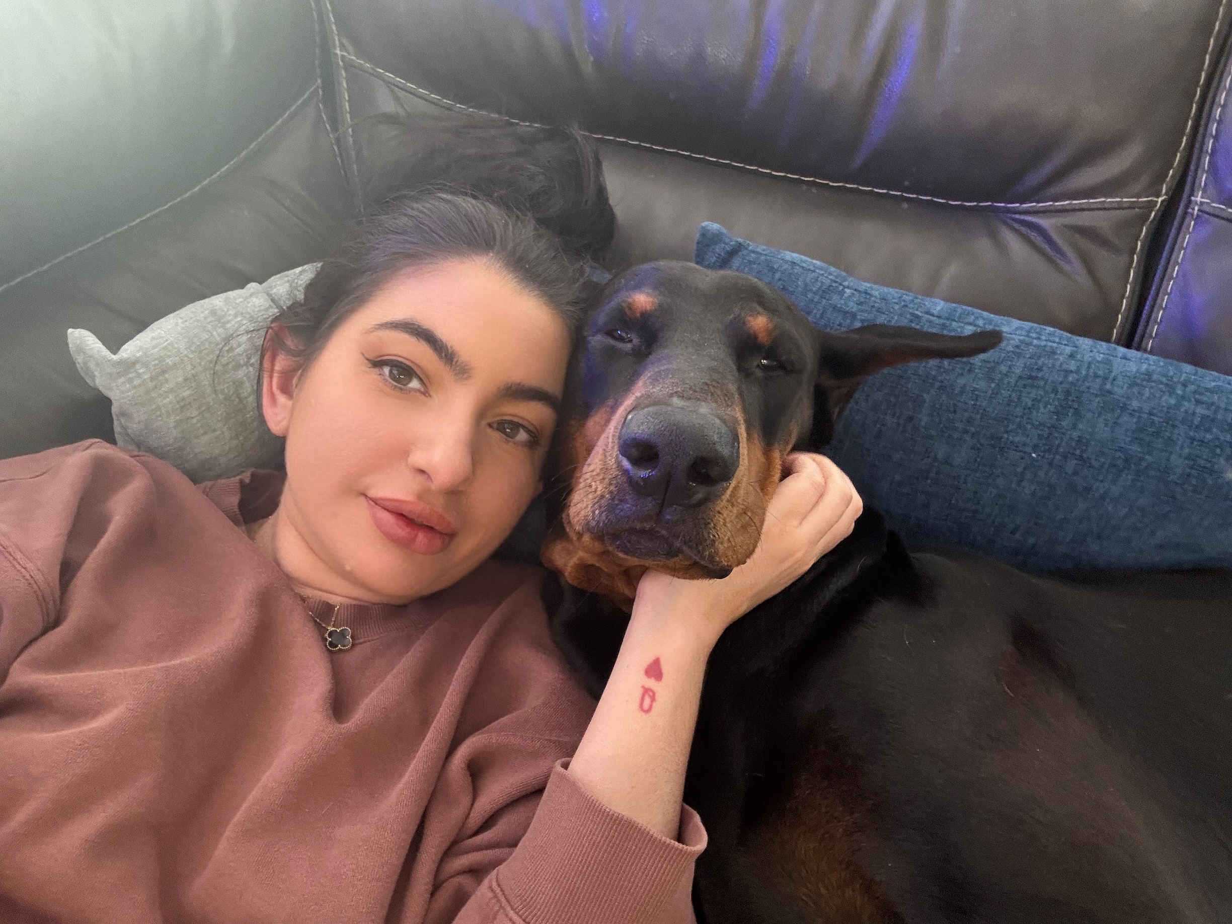 Stand with Apollo – Urgent MRI & Surgery Needed campaign photo, 2 of 8