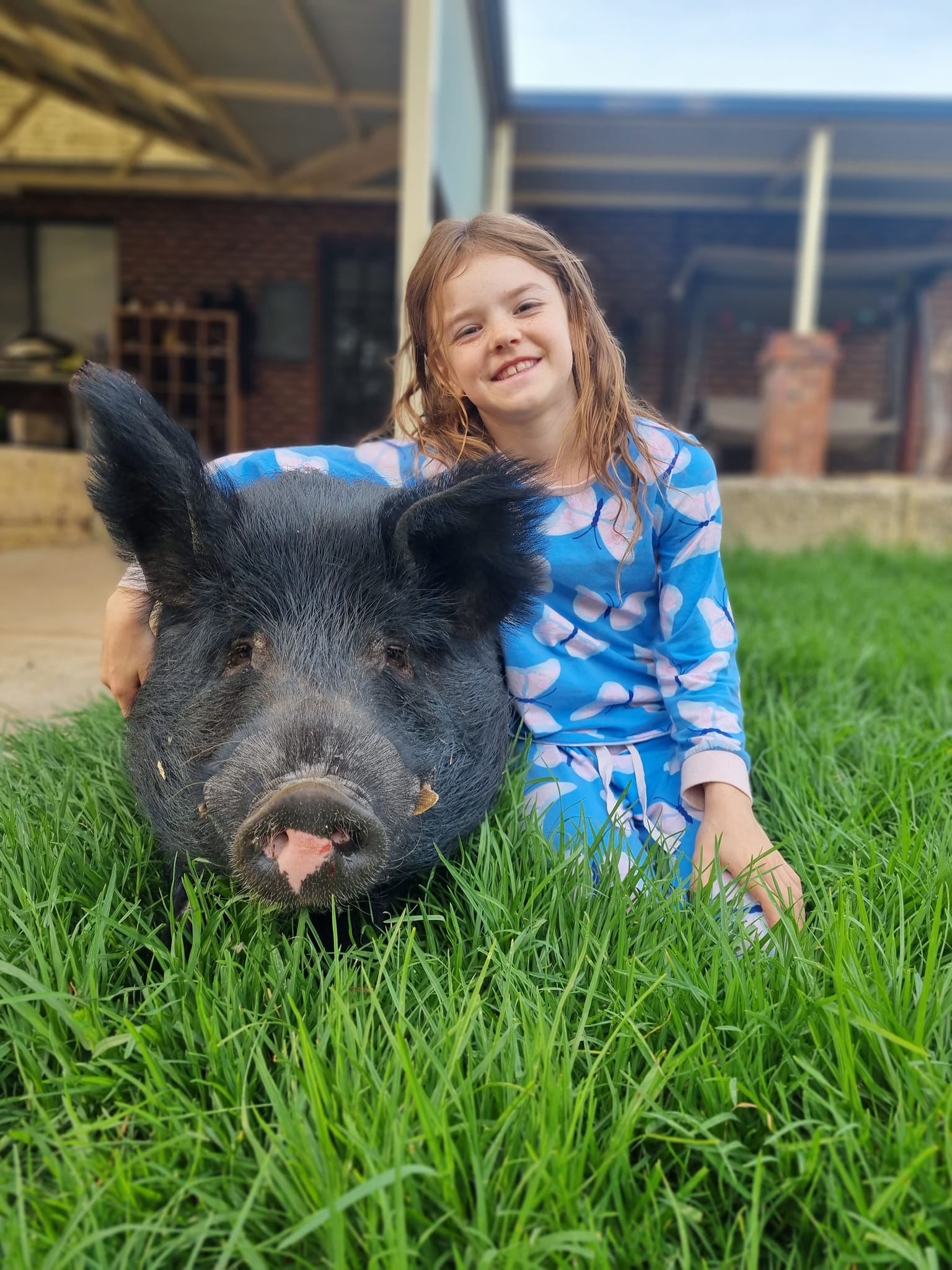Help for Animal Sanctuary Volunteer Accommodation Waroona campaign photo, 2 of 8
