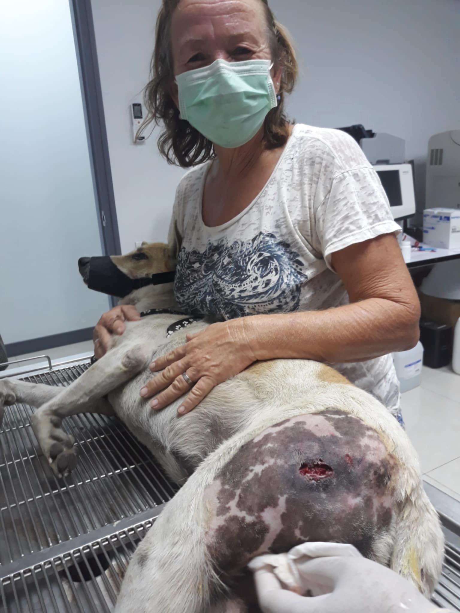 Help stray dogs in Ban Phe, Rayong, Thailand campaign photo, 2 of 8