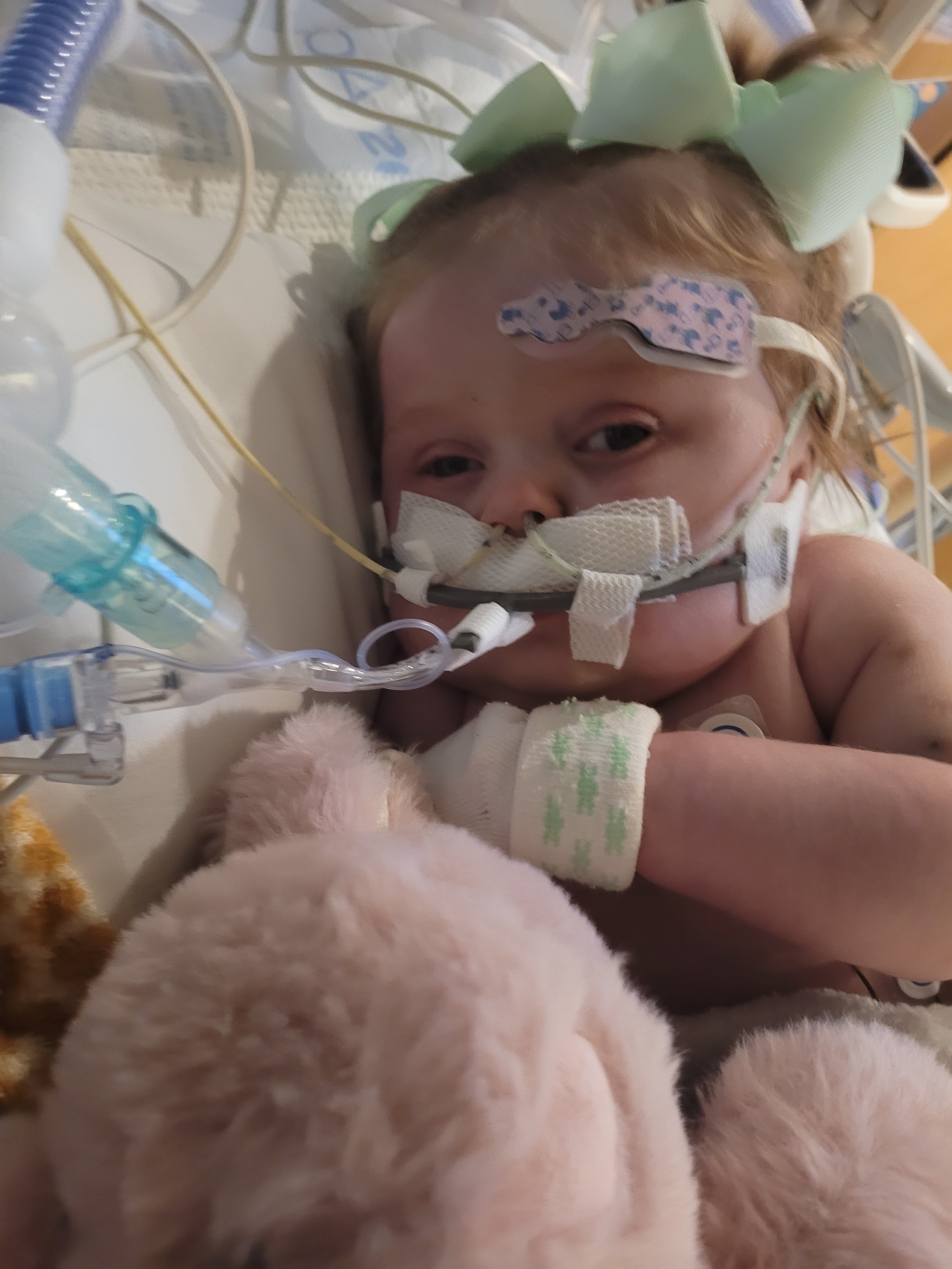 Support for expenses incurred during Eden's Heart Journey campaign photo, 6 of 8