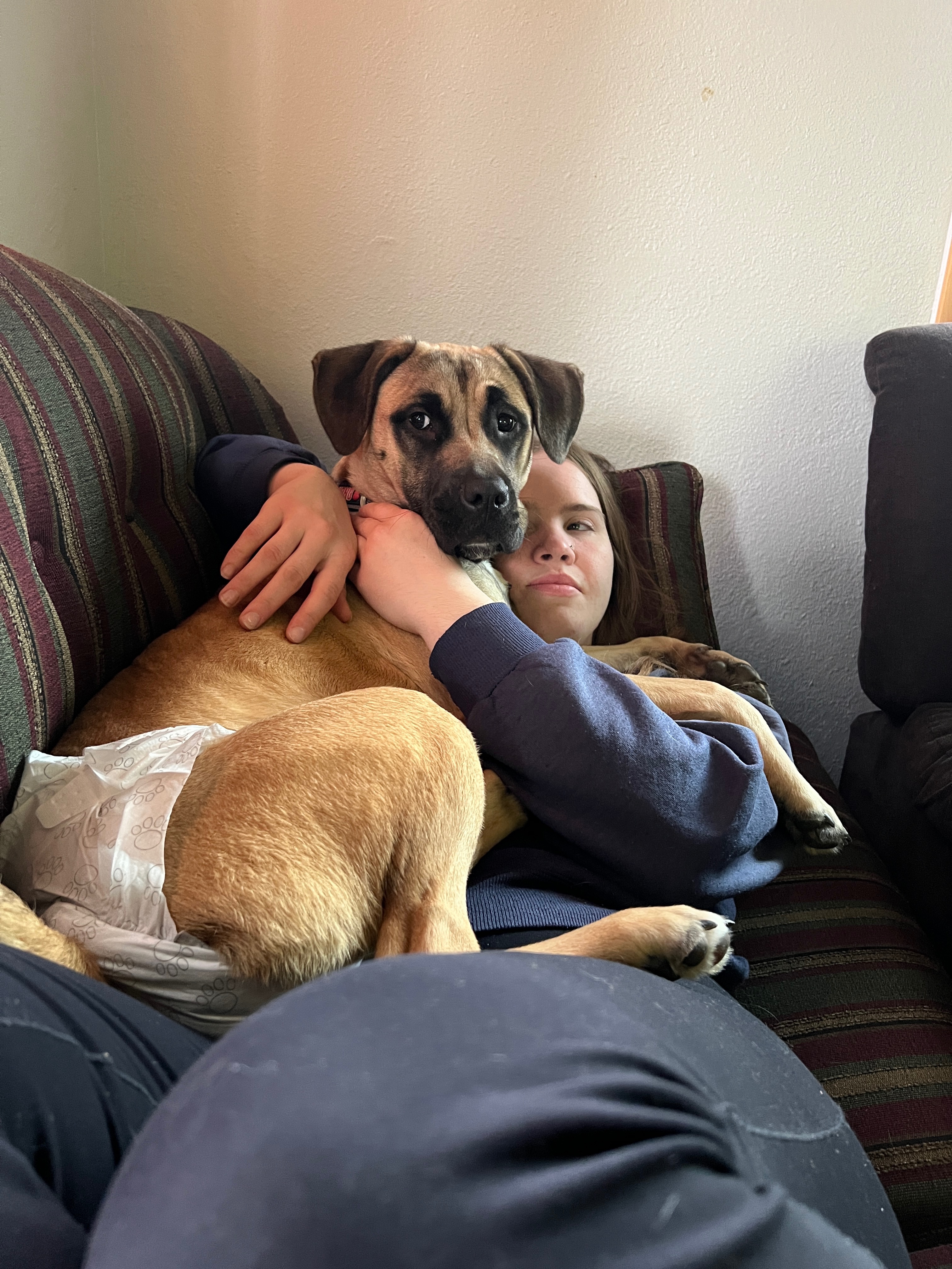 Save Star's Kidney: Urgent Help Needed campaign photo, 5 of 8