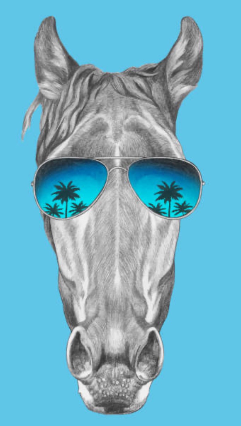 Sunnies for Skye campaign photo, 5 of 6