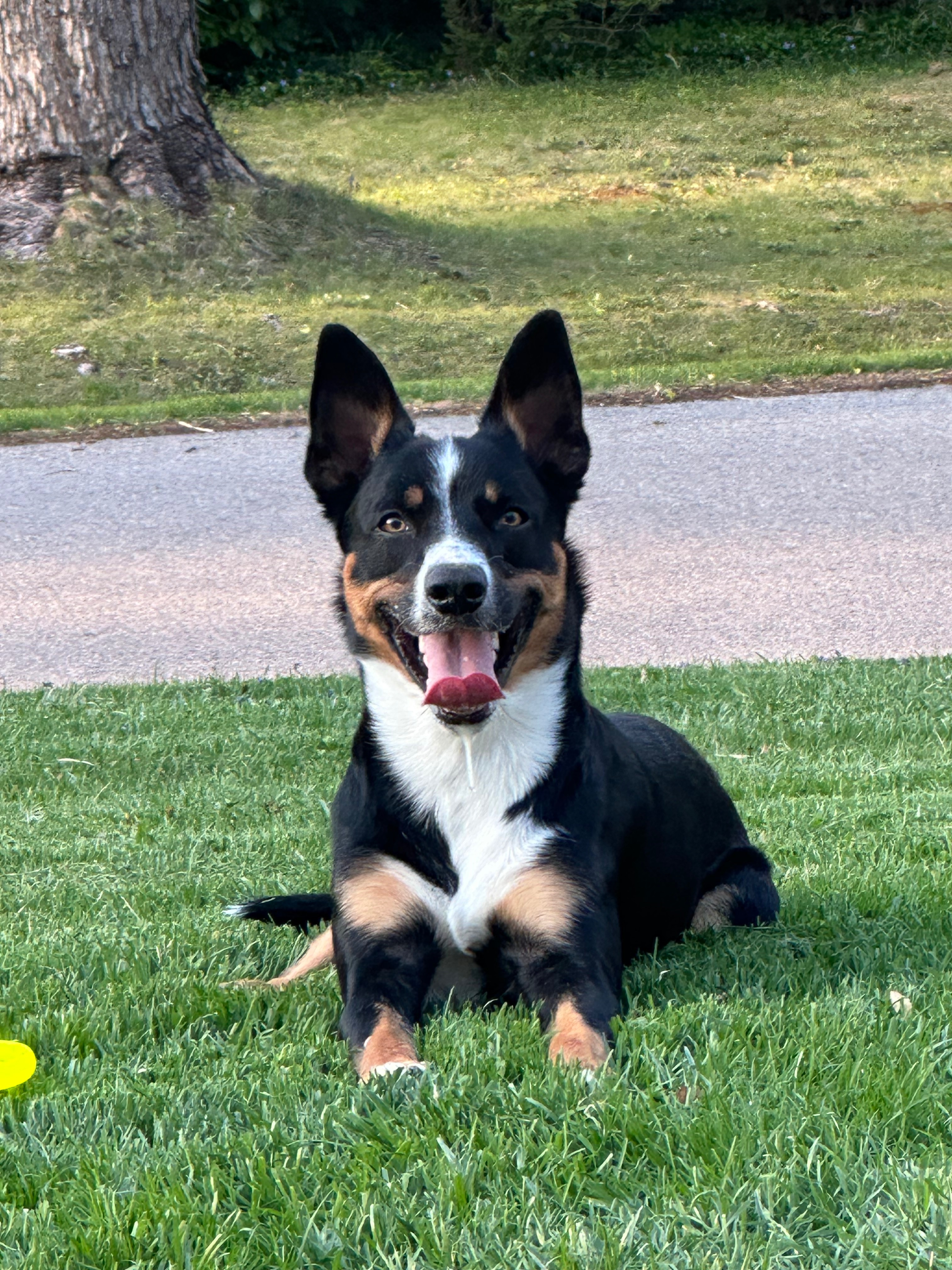 Bring Krue Home: Support Our Search campaign photo, 2 of 7
