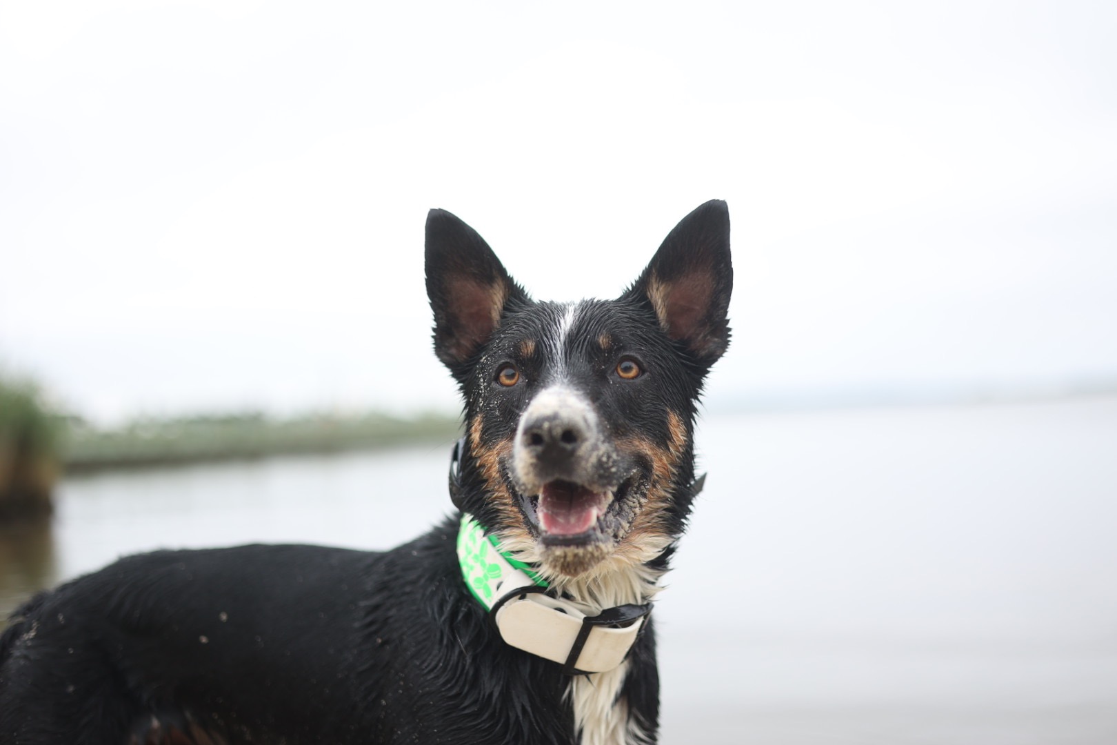 Bring Krue Home: Support Our Search campaign photo, 5 of 7