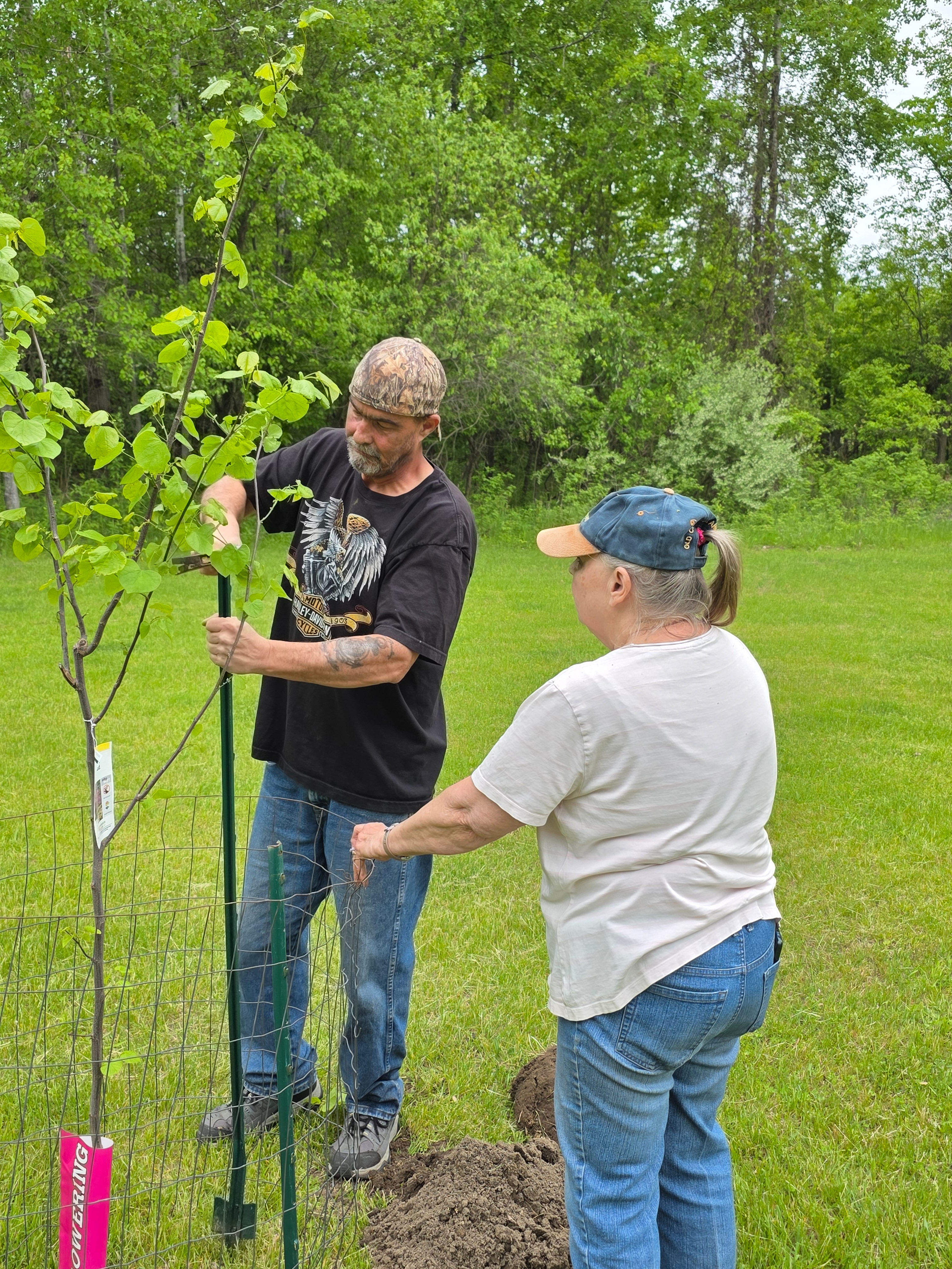 User-uploaded image 1