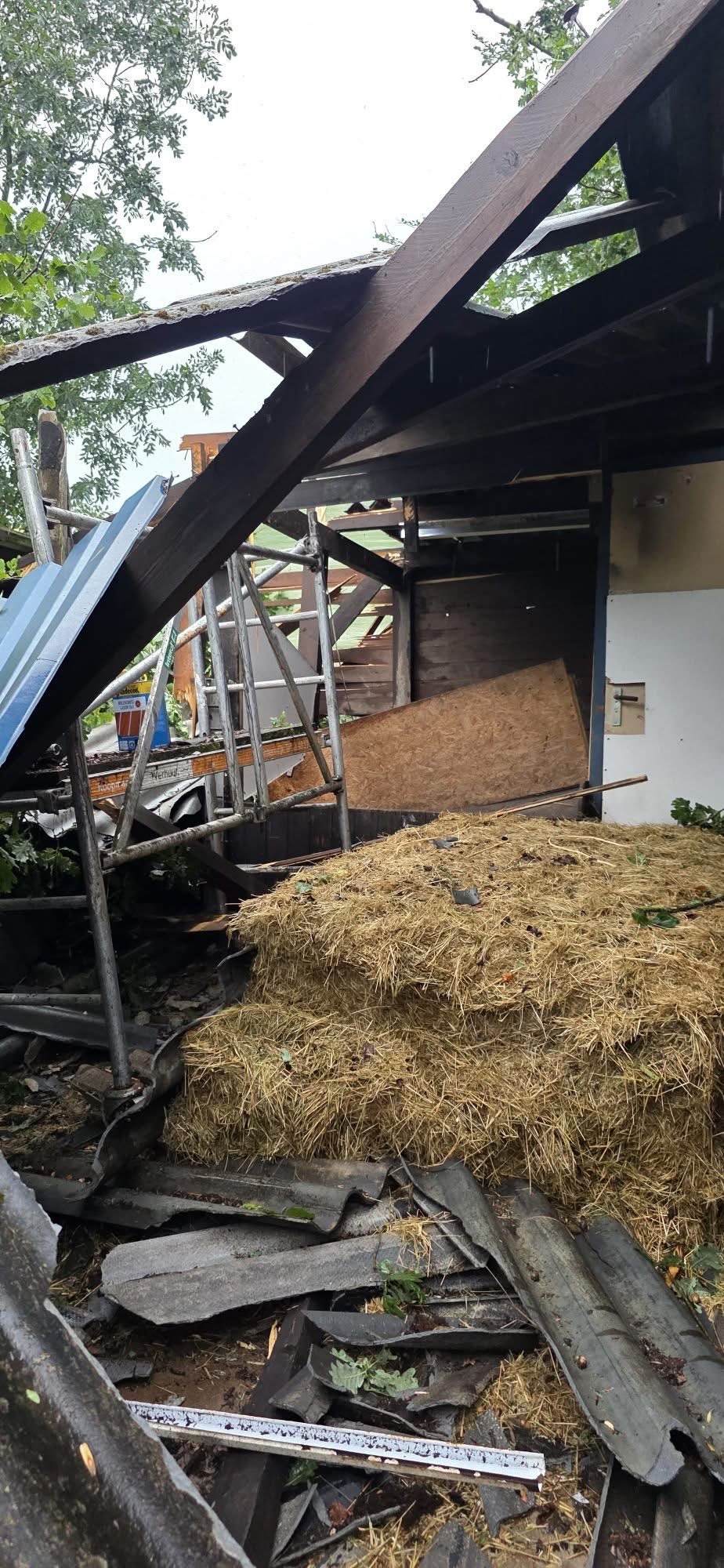 Verwoestende storm op Landgoed De Zonnebloem bij Winterswijk campaign photo, 6 of 8