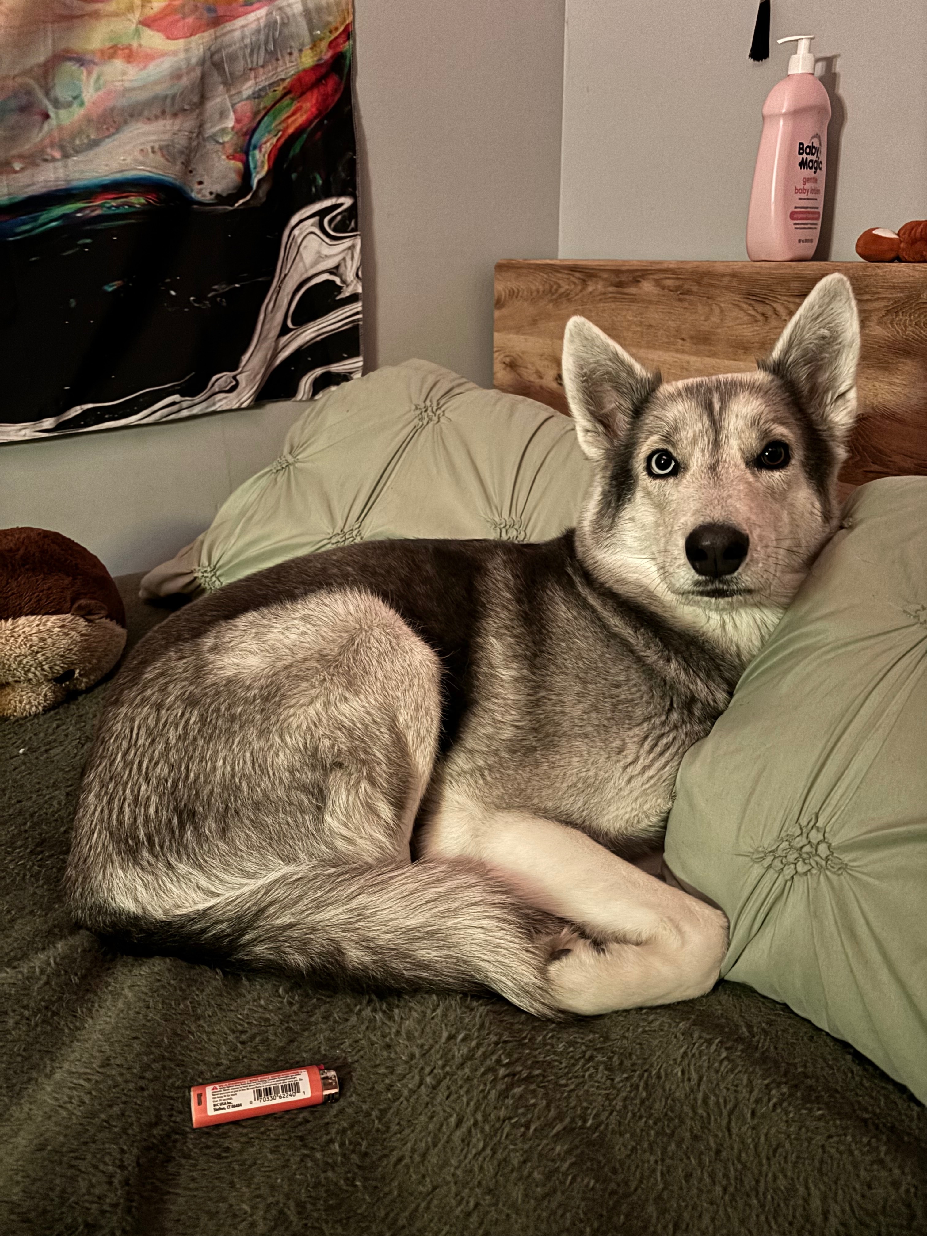 User-uploaded image 1