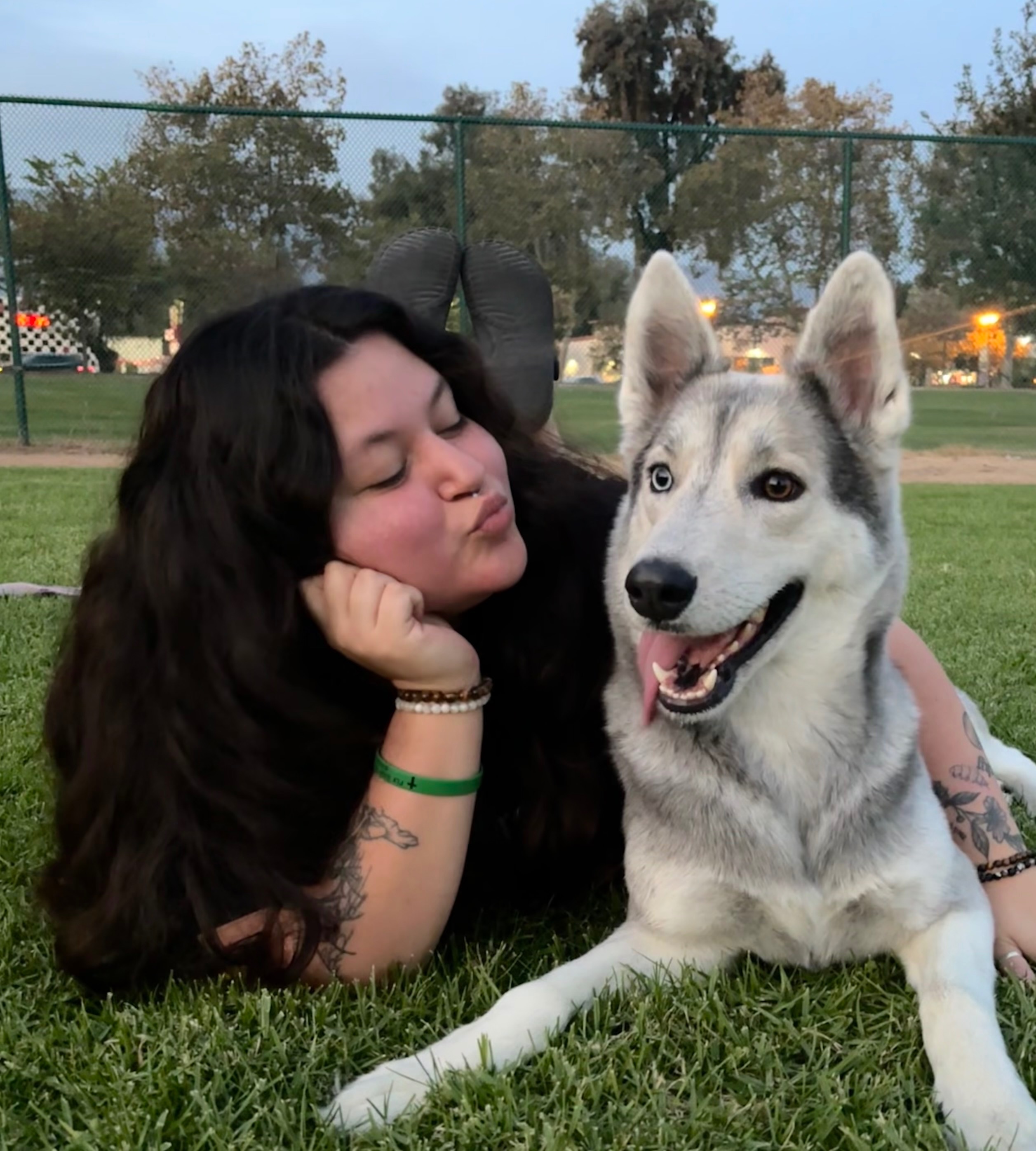 User-uploaded image 2