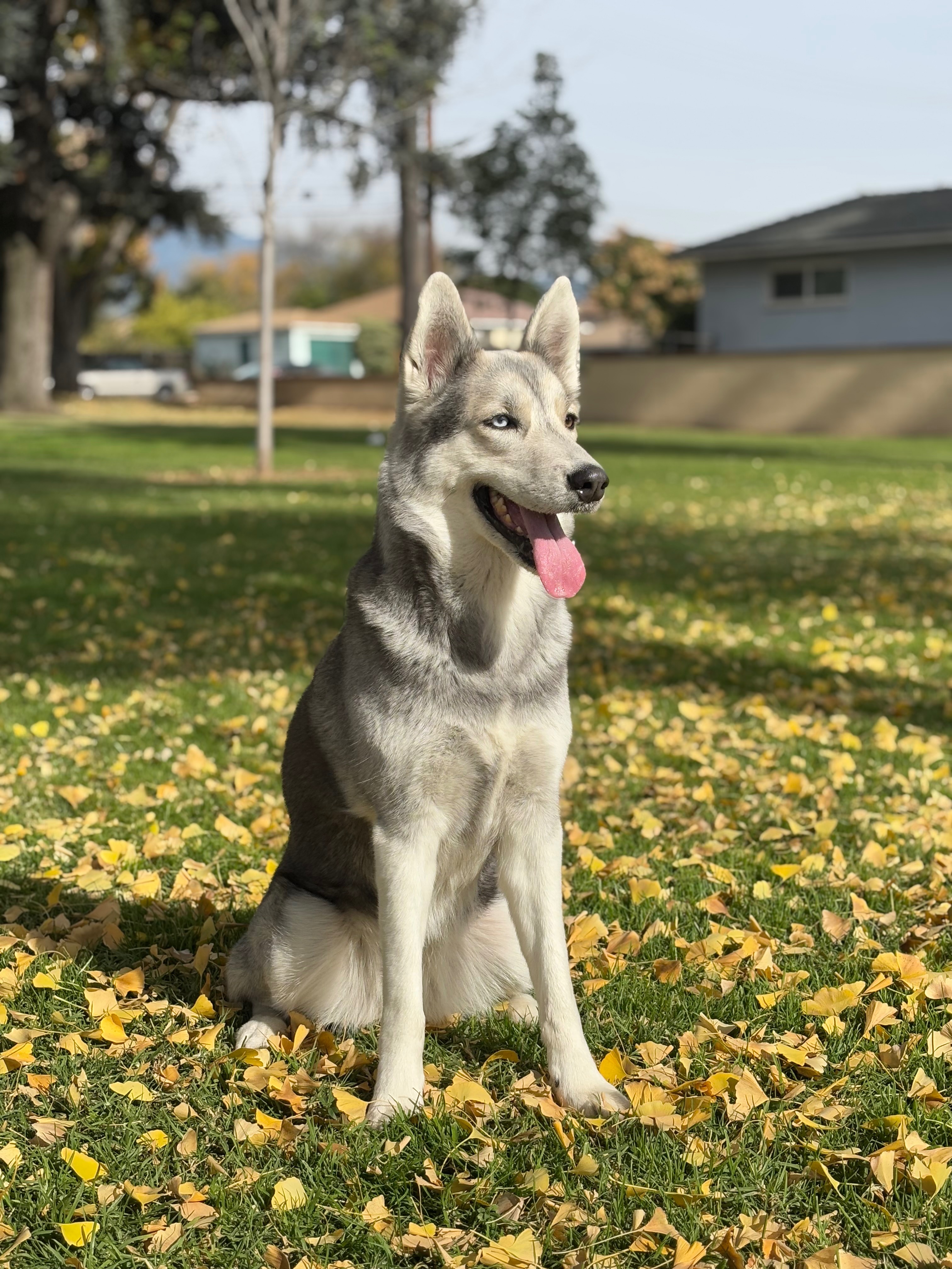 User-uploaded image 3