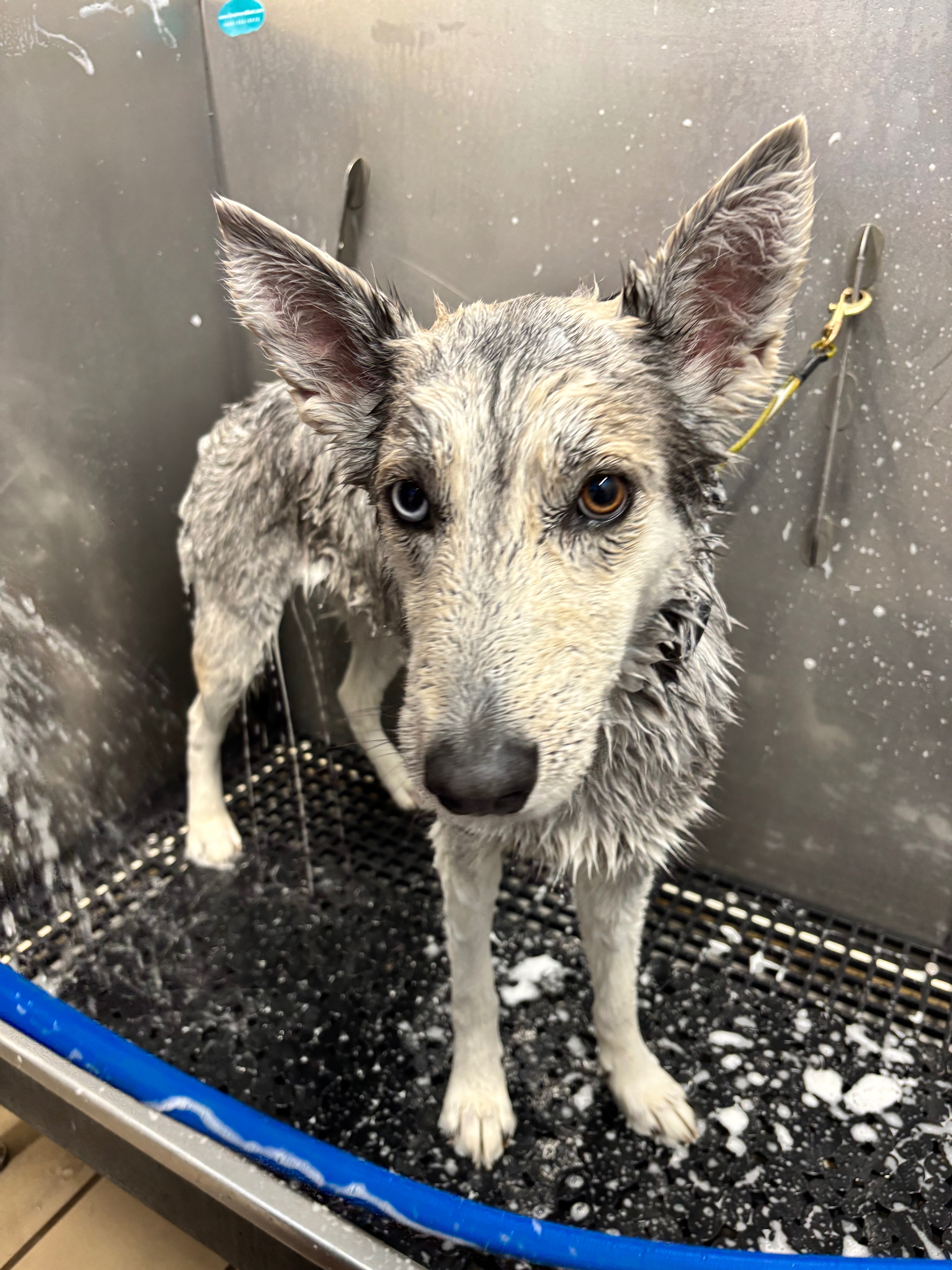 User-uploaded image 4