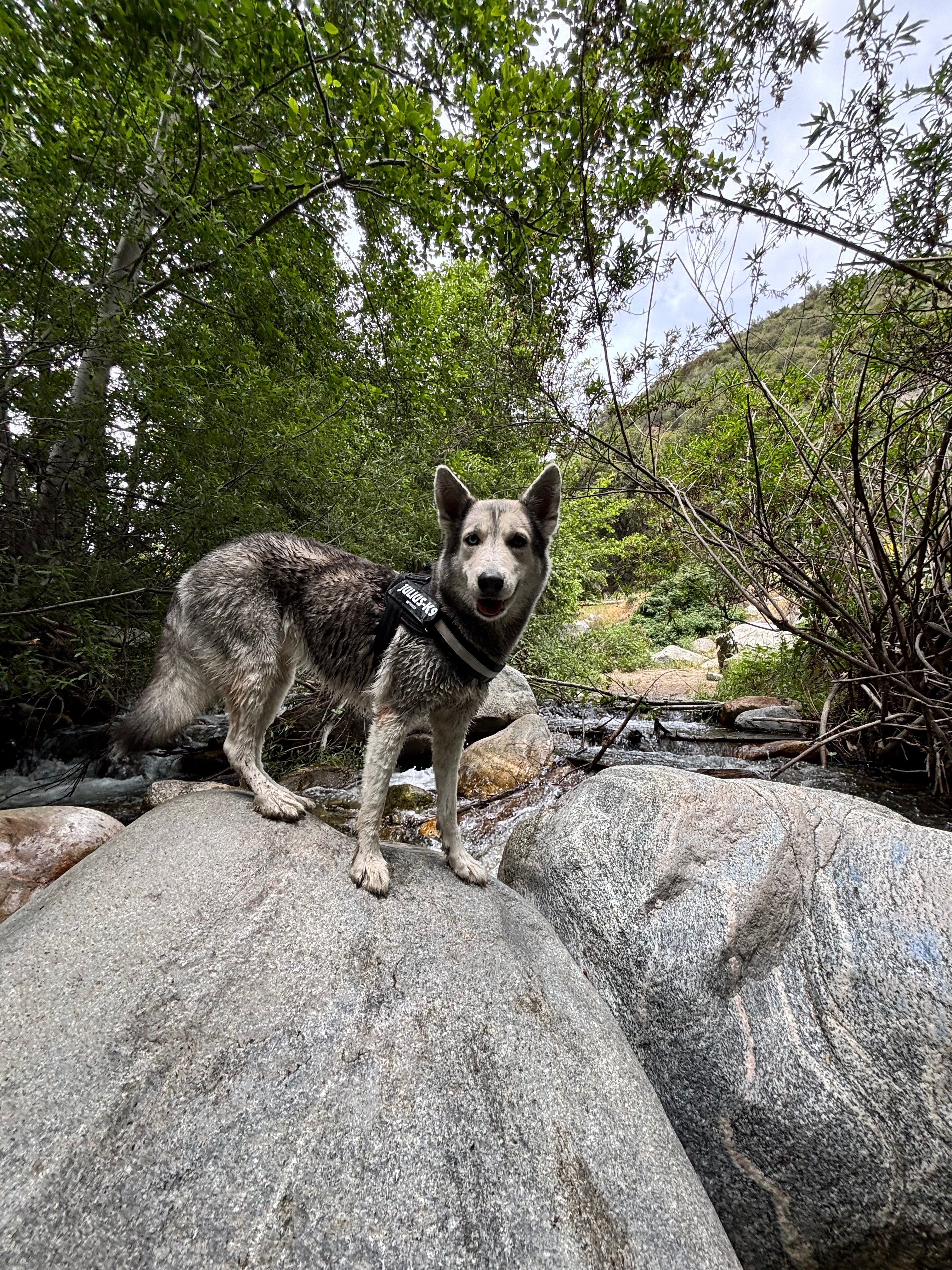 User-uploaded image 5