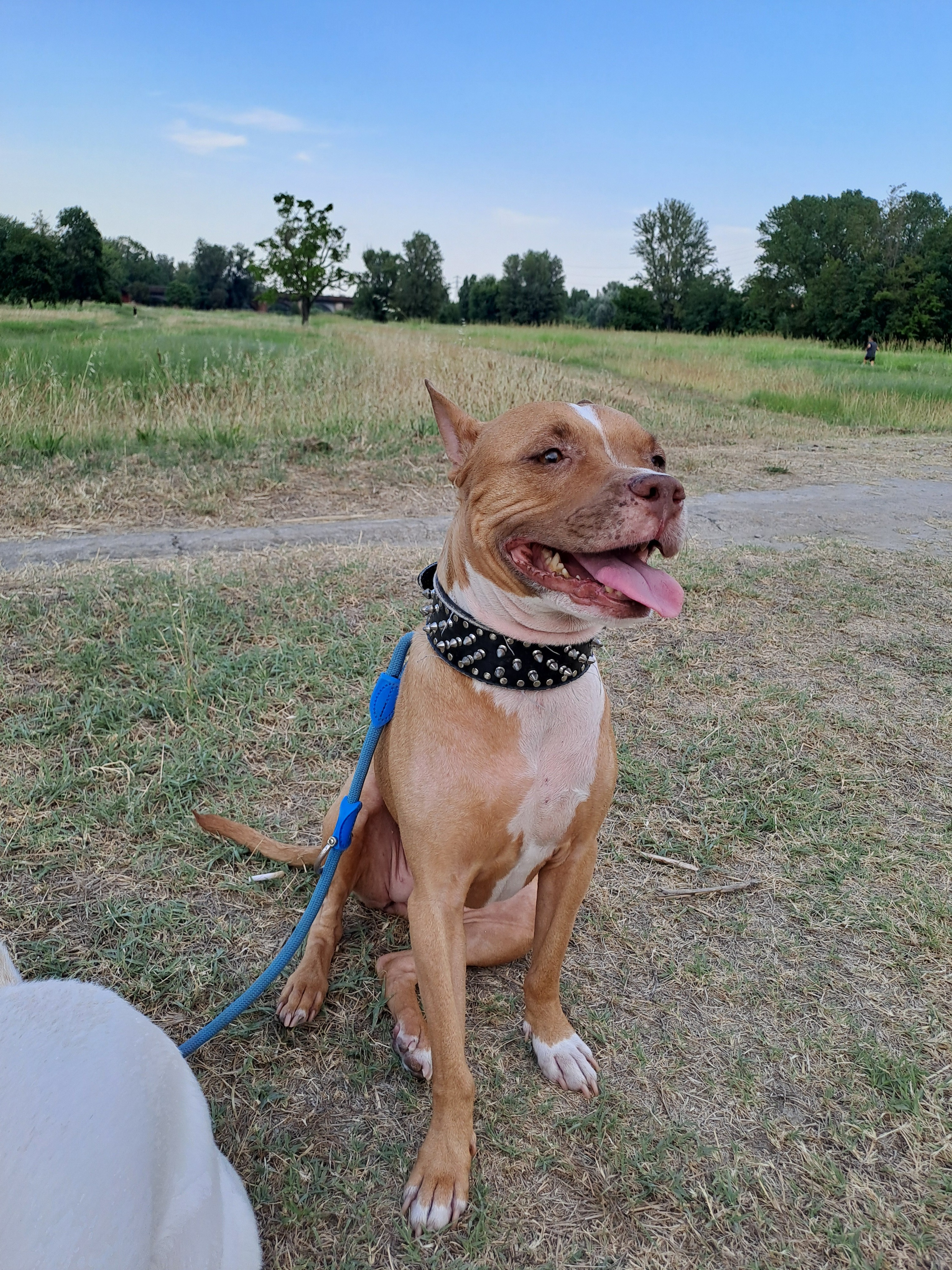 User-uploaded image 1