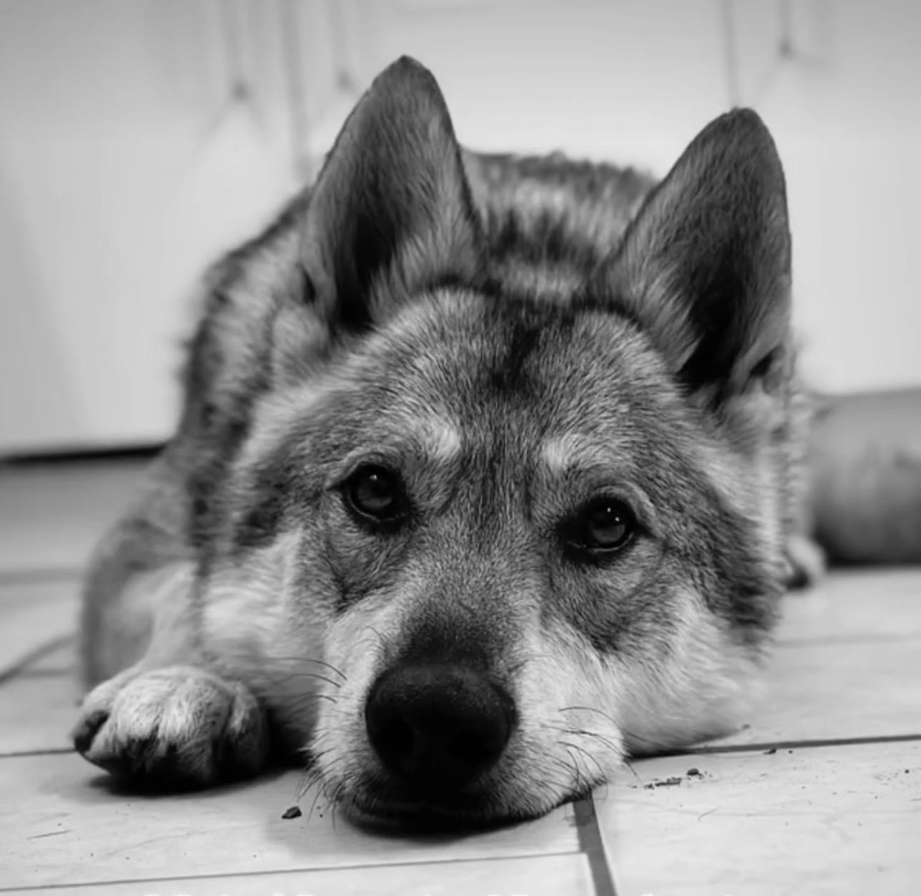 User-uploaded image 1