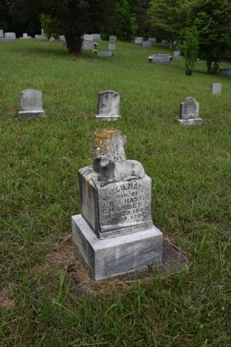 Help Preserve Historic Pleasant Hill Cemetery in Clyde, NC campaign photo, 4 of 8