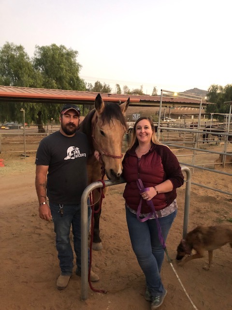 User-uploaded image 1