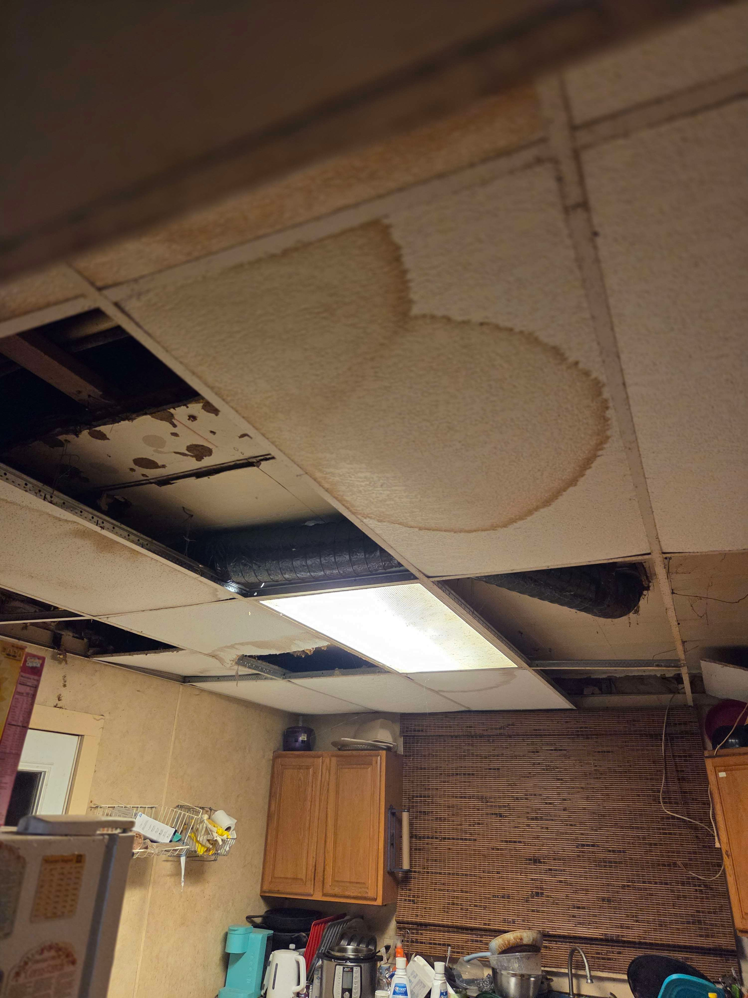 Help Artist get Transportation and Fix his House campaign photo, 4 of 6