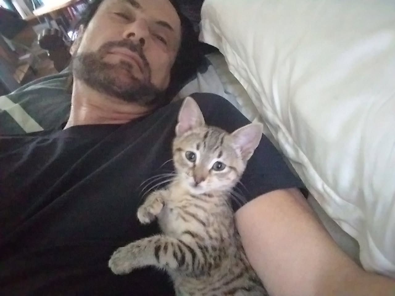 Help My Dad's Best Friend, His beloved Cat campaign photo, 4 of 7