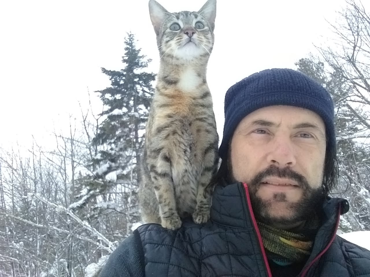 Help My Dad's Best Friend, His beloved Cat campaign photo, 5 of 7