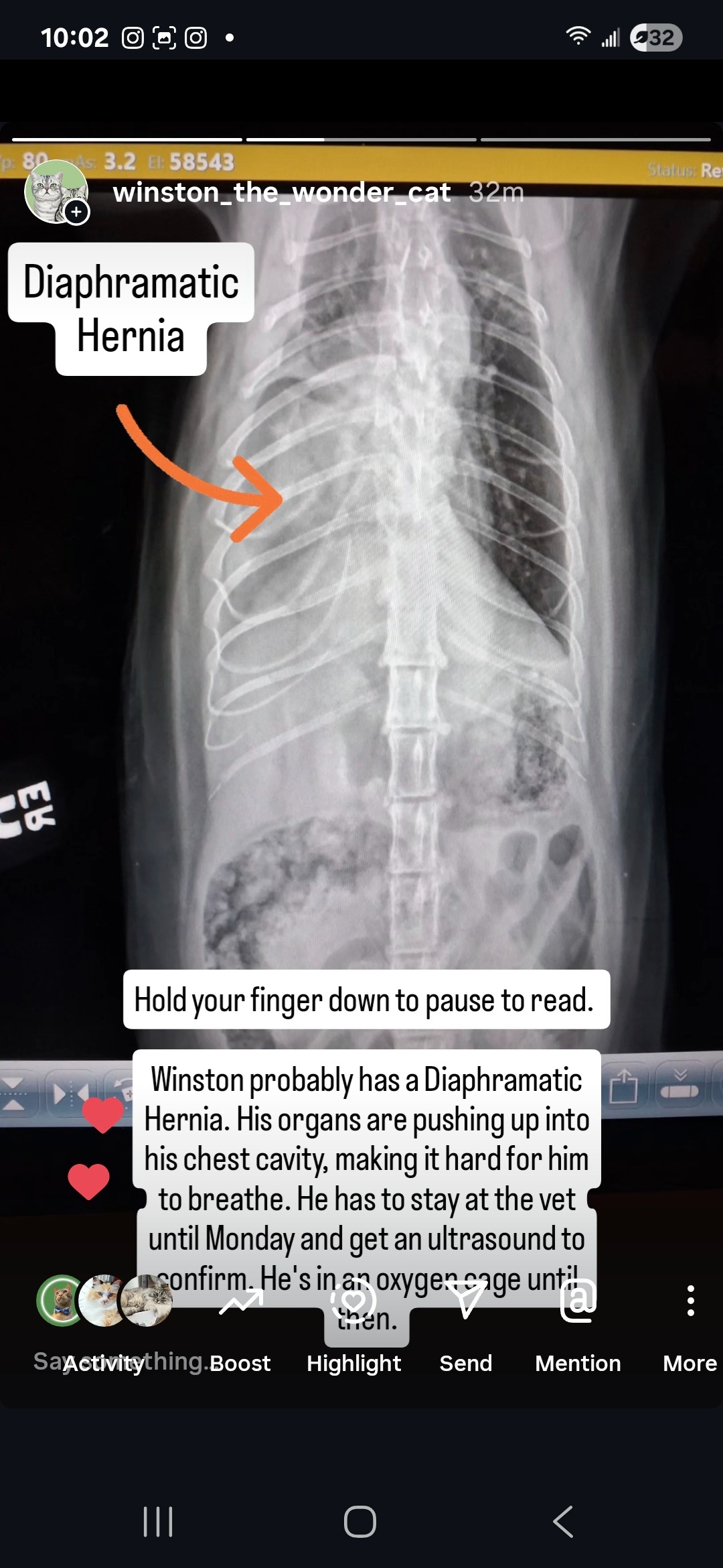 Urgent: Winston's Life-Saving Surgery Fund campaign photo, 2 of 7