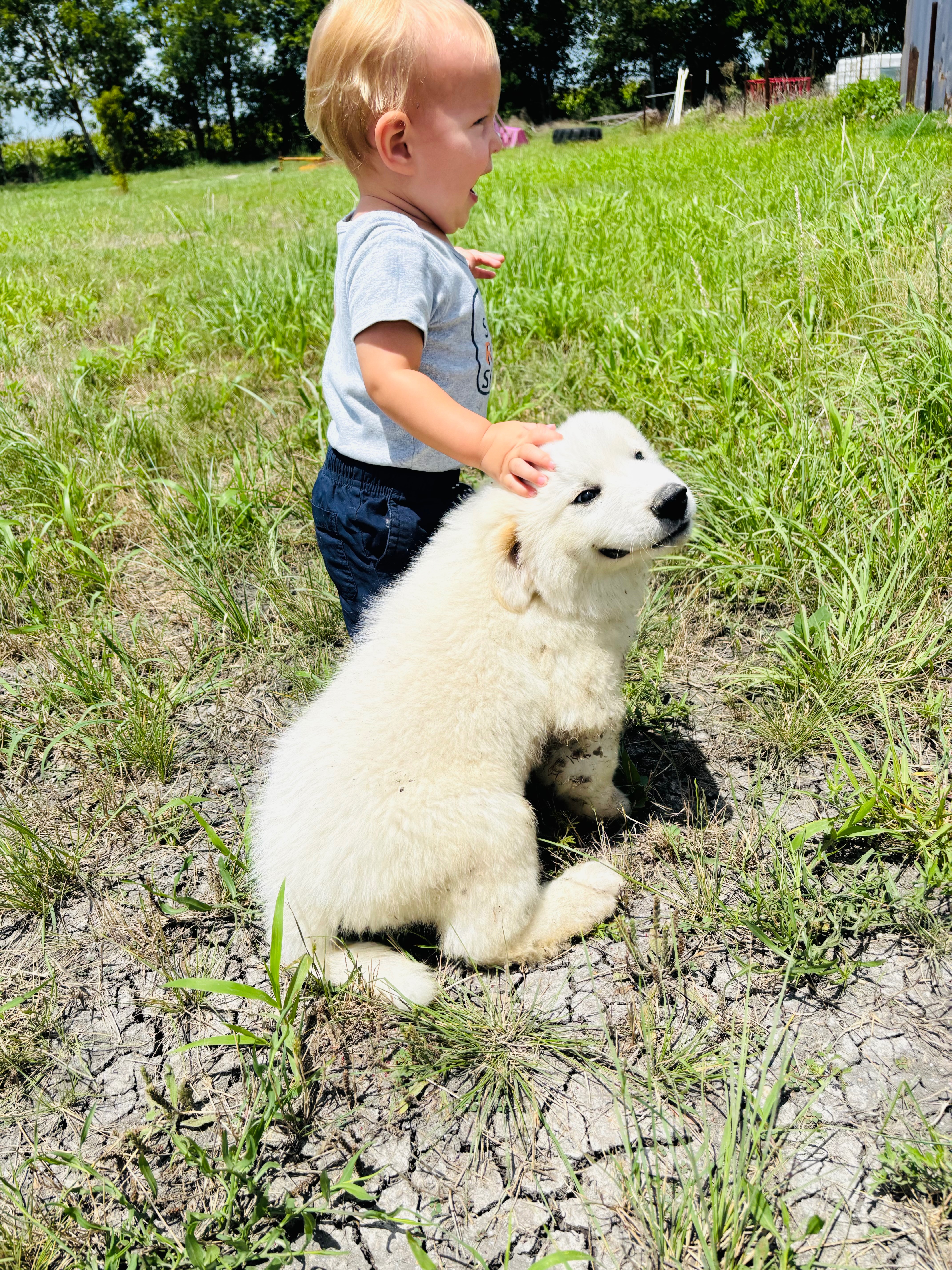 Save Escanor: Help Fund His Surgery campaign photo, 2 of 7