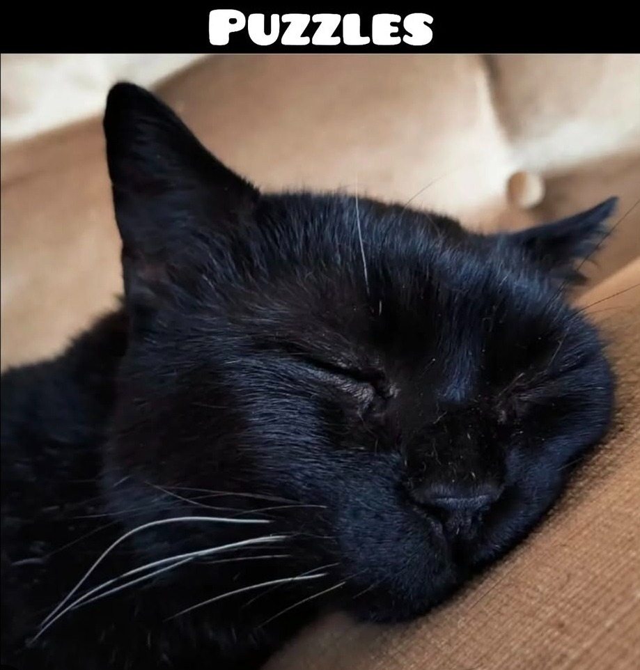 Puzzles braucht Hilfe campaign photo, 5 of 6