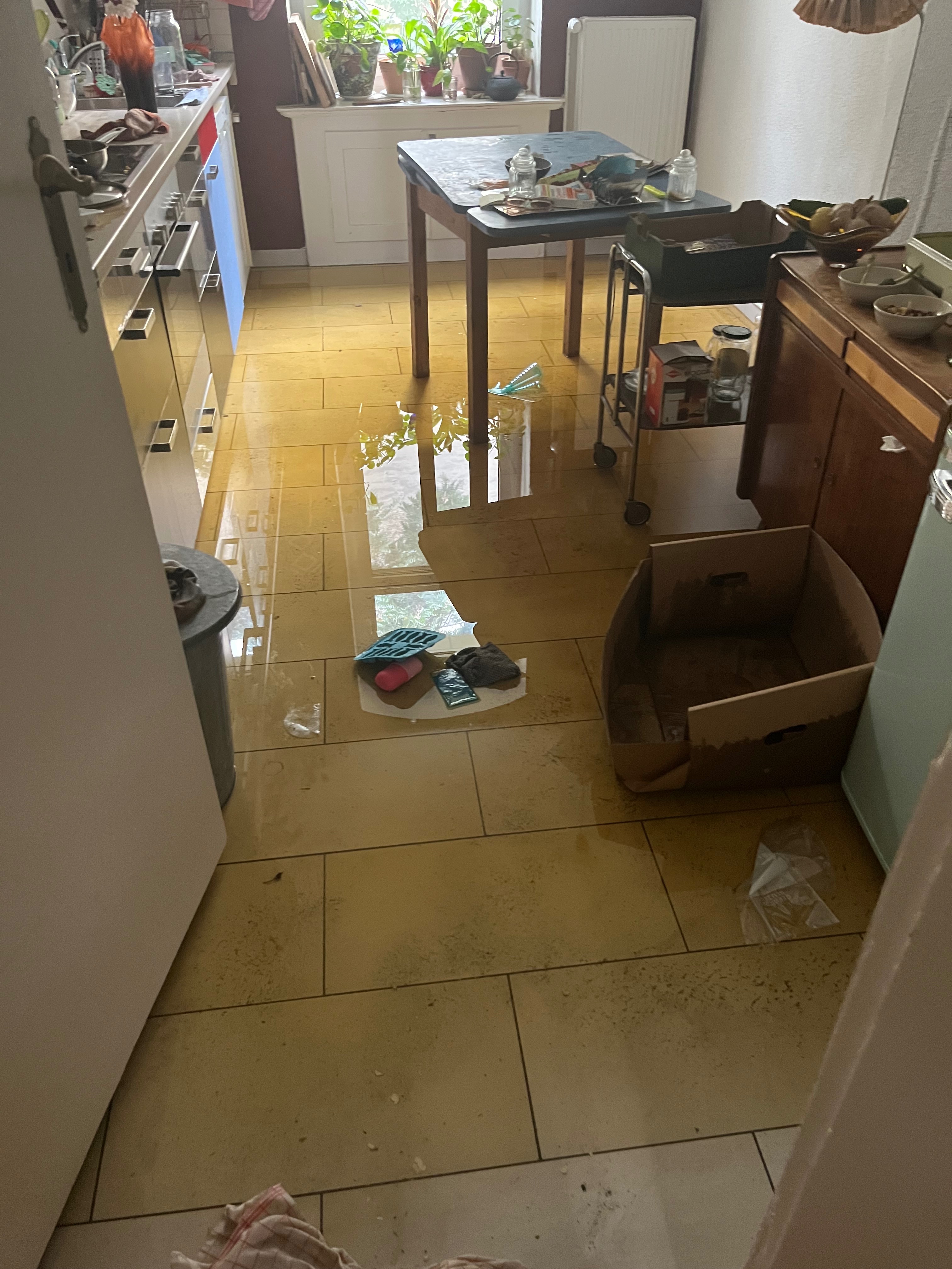 User-uploaded image 1