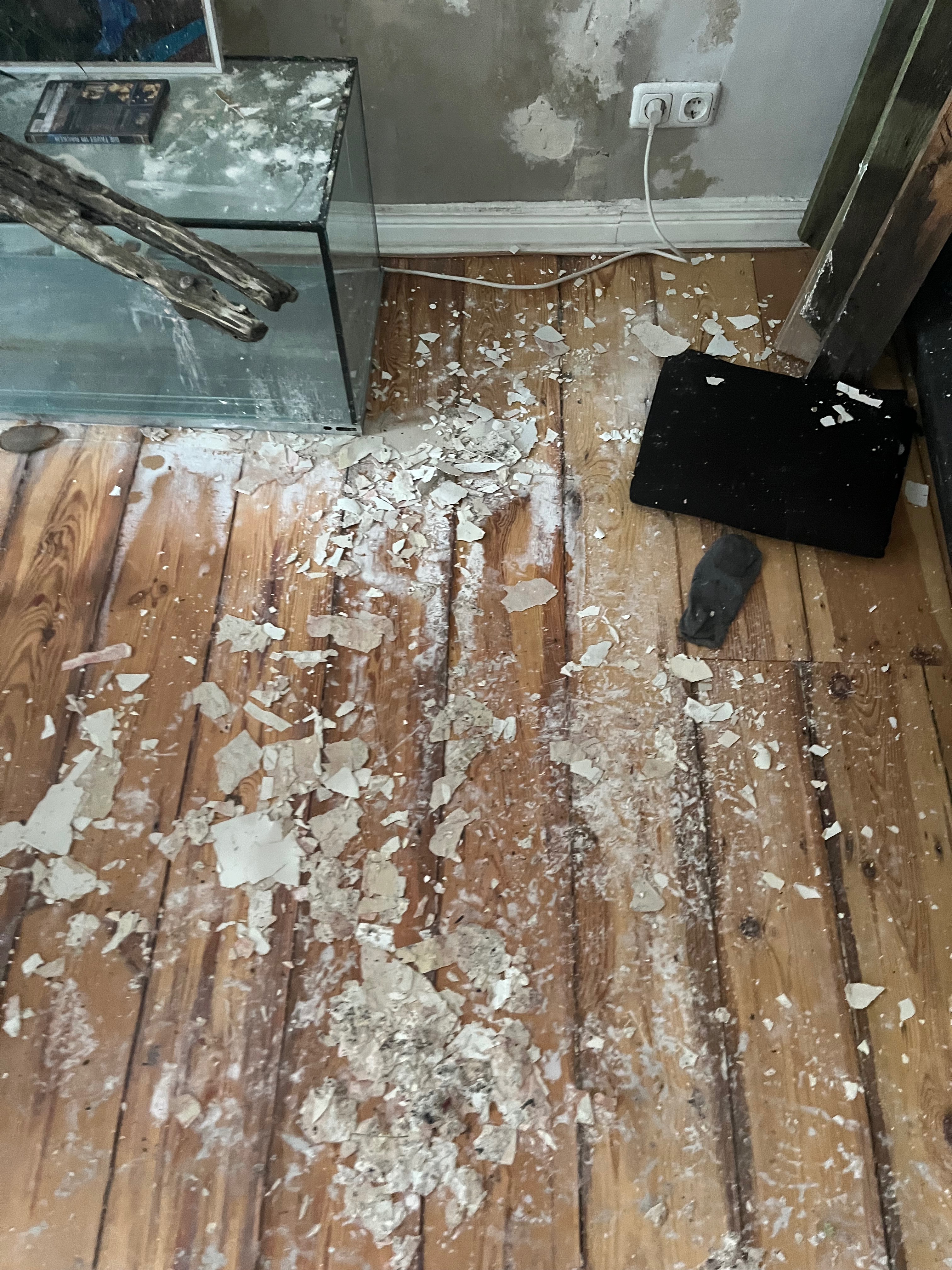 User-uploaded image 2