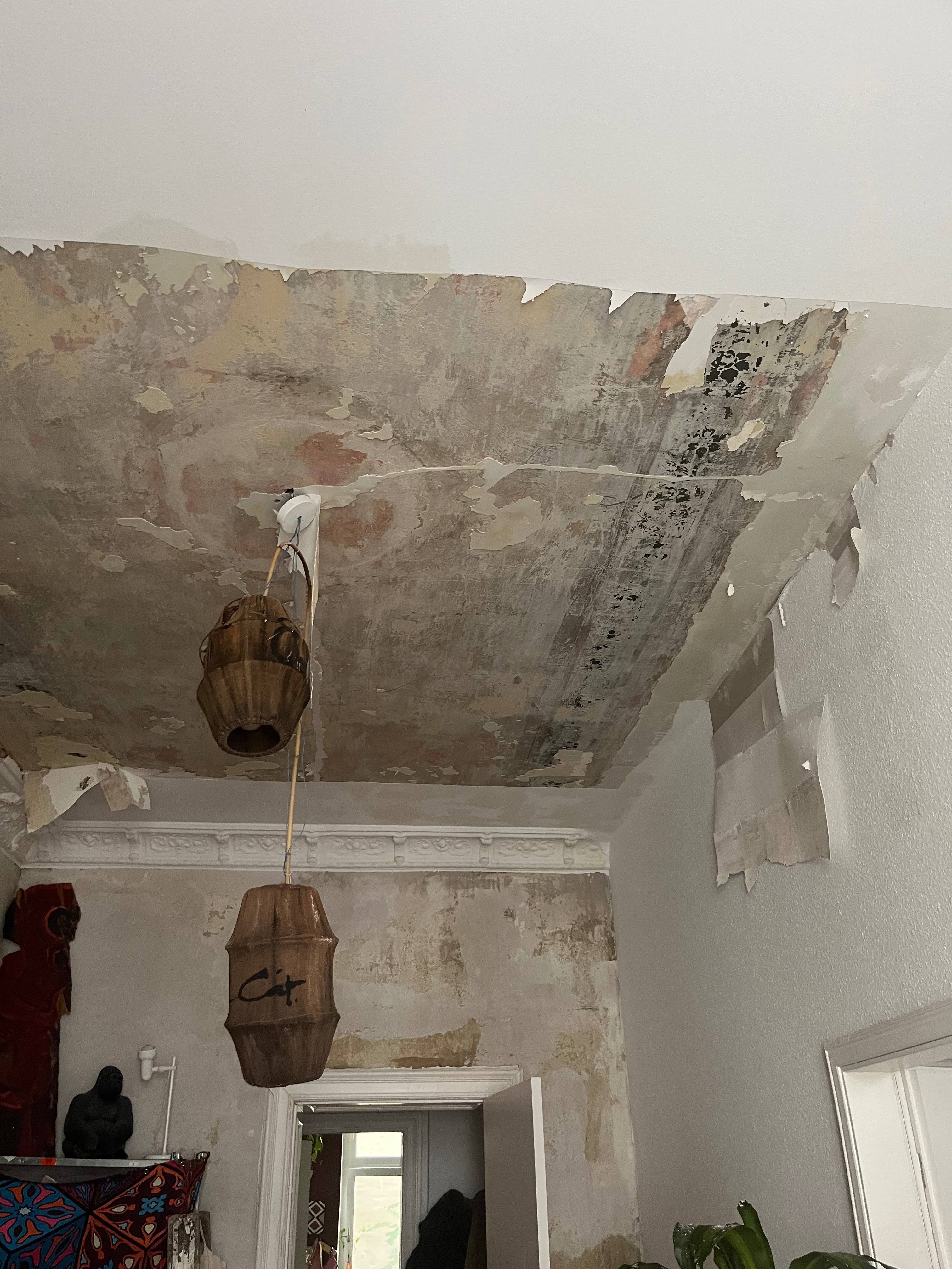 User-uploaded image 3