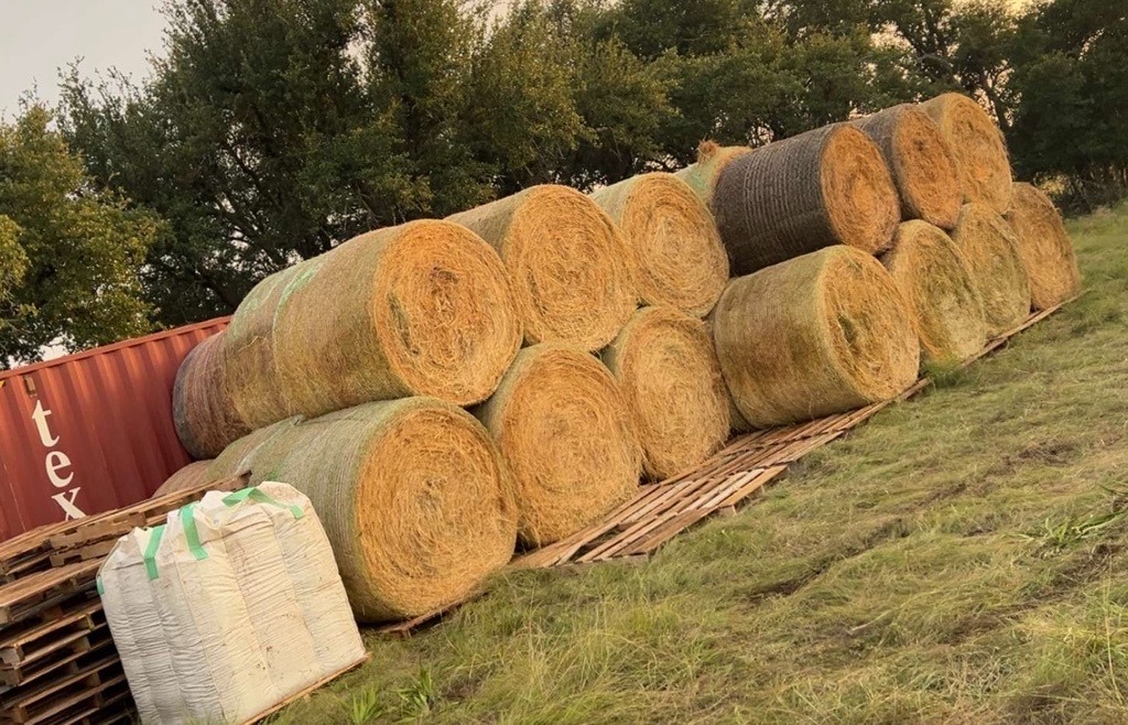 Help 4M Ranch Deliver Aid to Flooded Animals campaign photo, 2 of 4