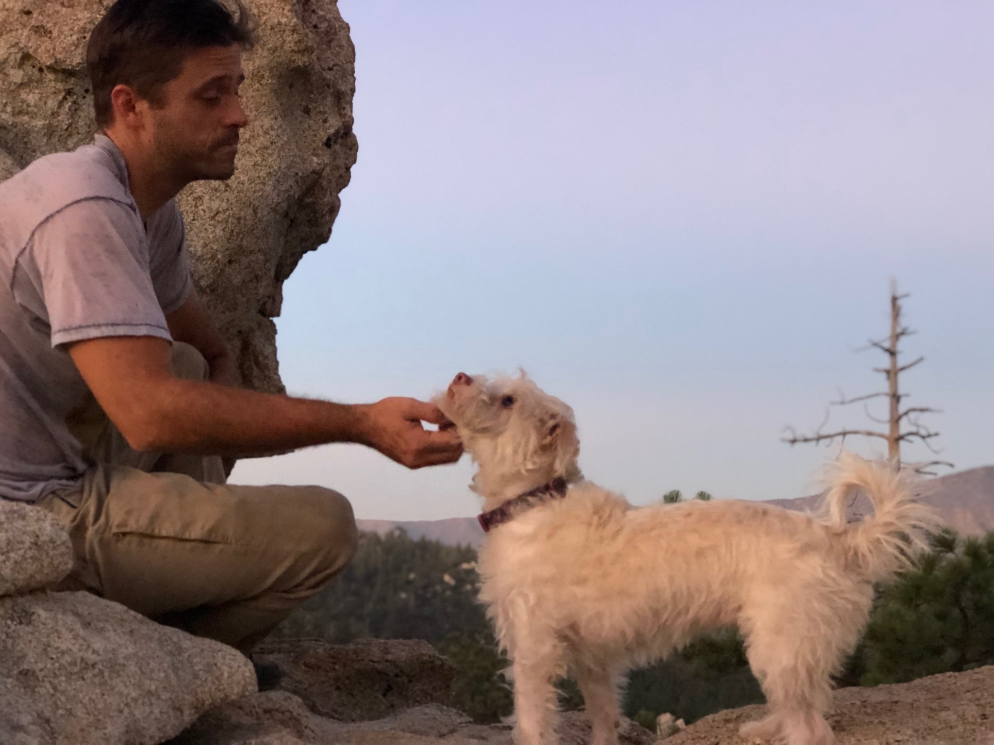 Support Audrey's Journey: a future without Oscar and Zelda campaign photo, 7 of 8