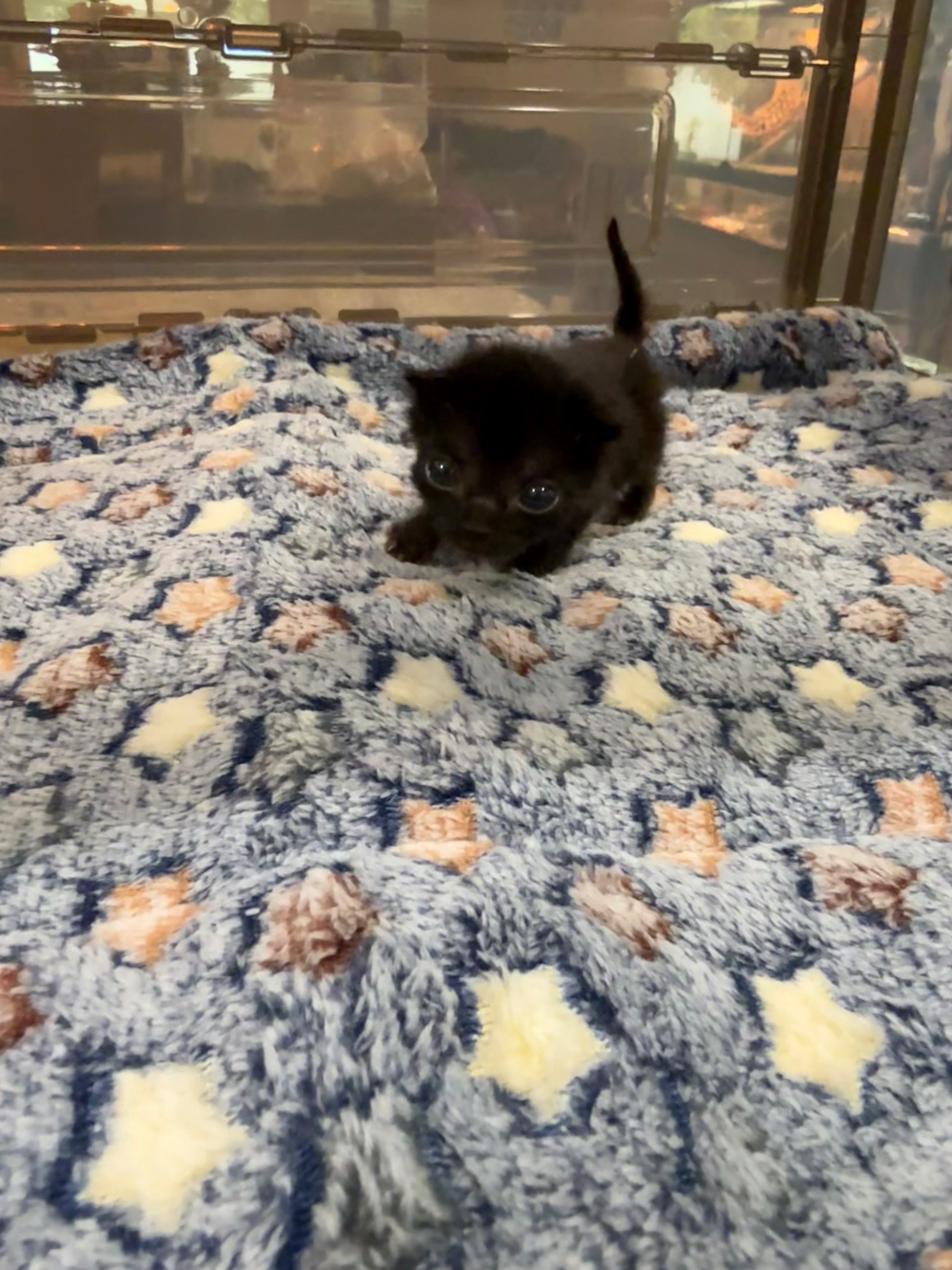 User-uploaded image 1