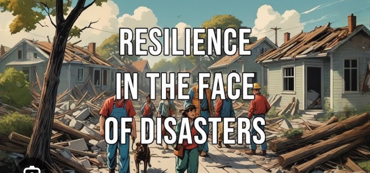 User-uploaded image 1