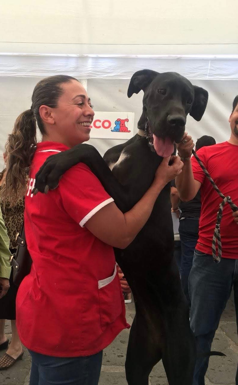 Foto de la campaña Una prótesis de cadera para seguir salvando vidas de 4 patas, 5 de 6